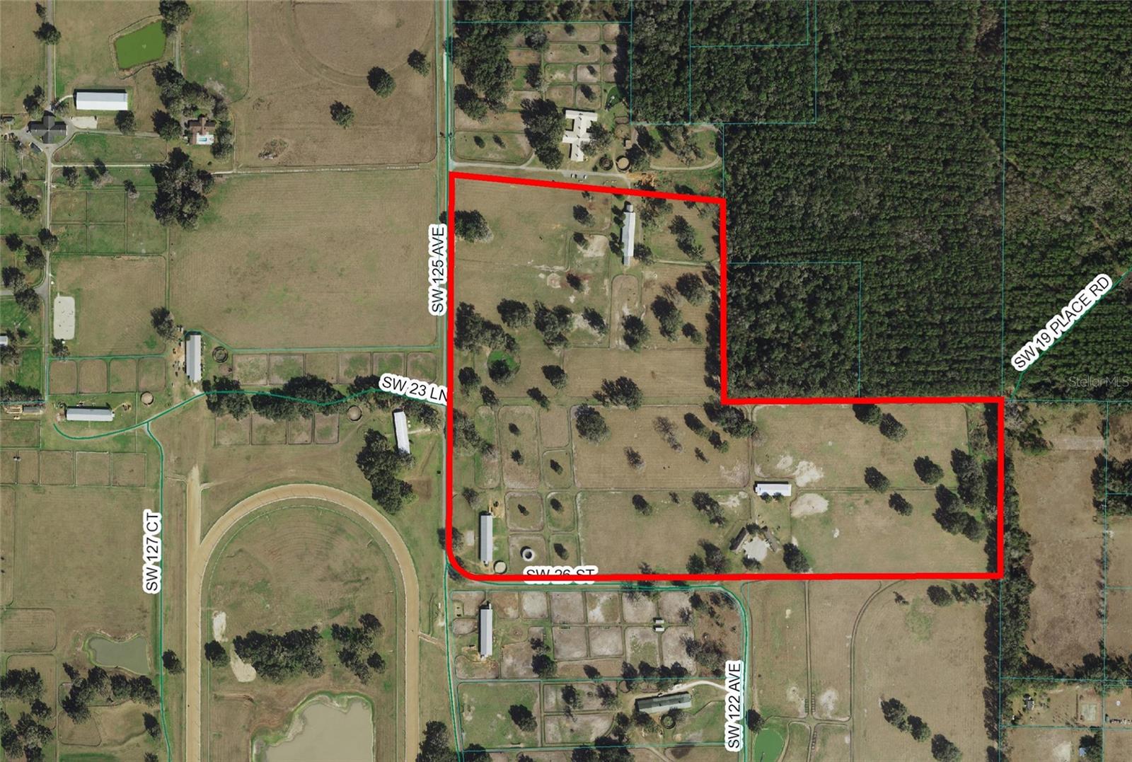 12219 SW 26TH STREET ST, OCALA, FL, 34481