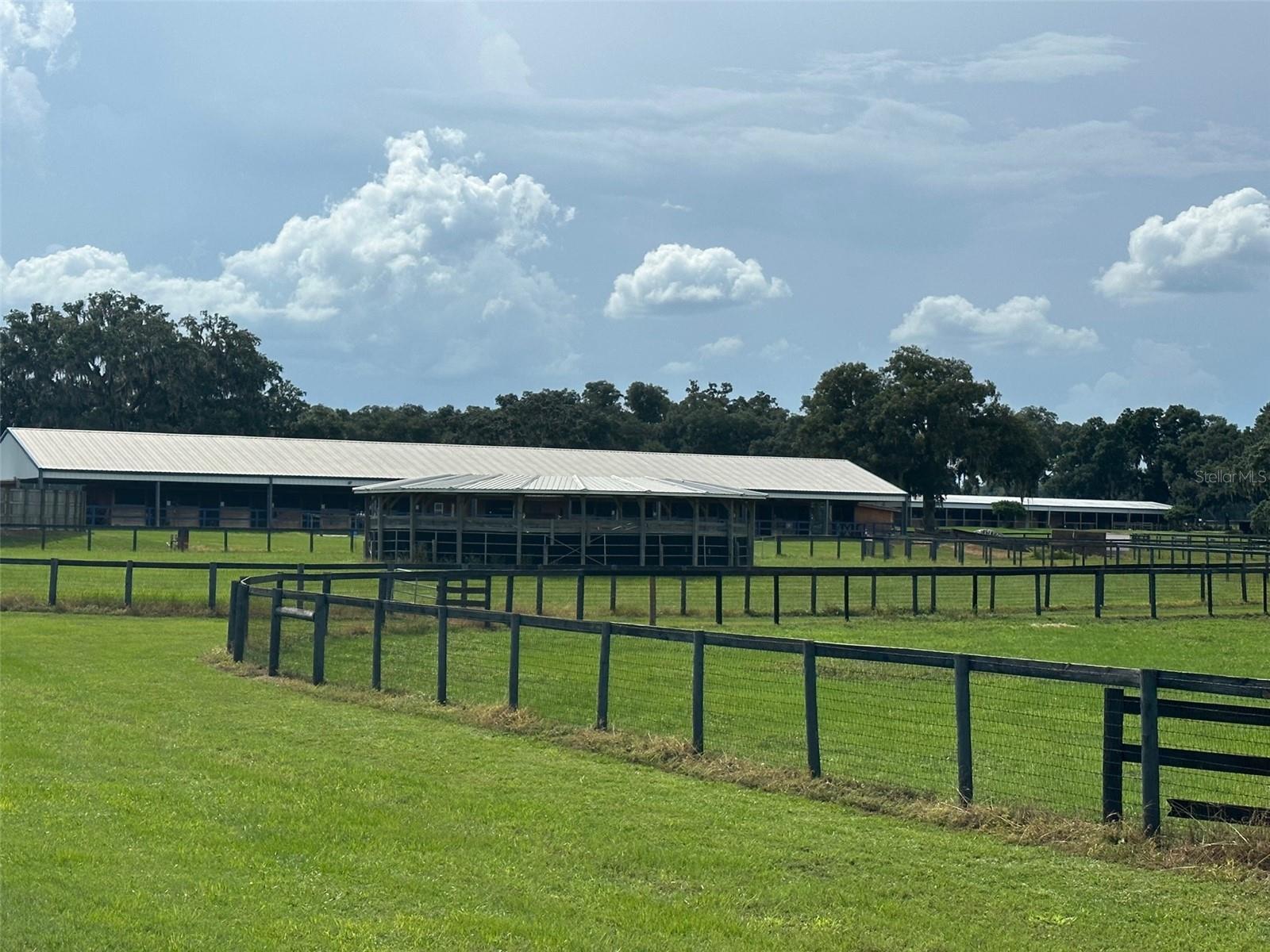 12219 SW 26TH STREET ST, OCALA, FL, 34481