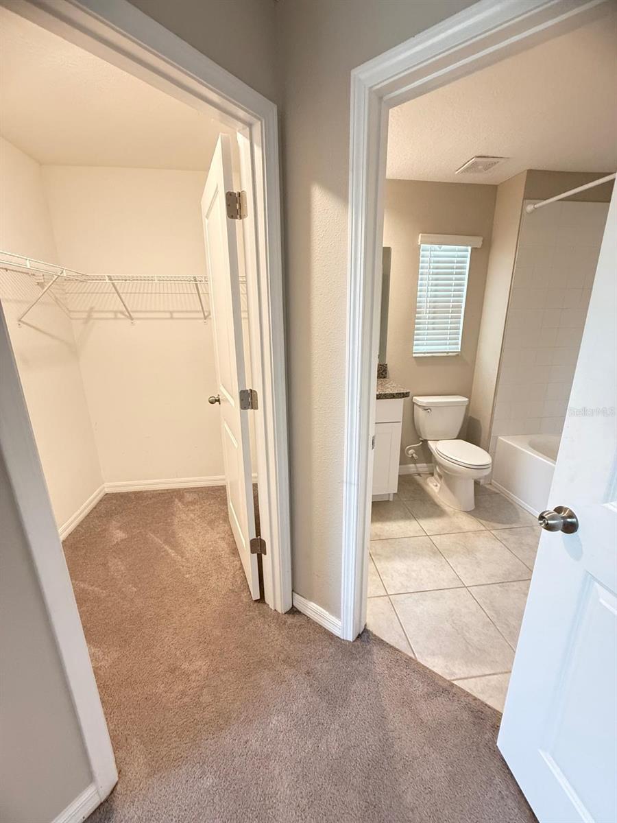 13235 DUPREE HILLS PL, RIVERVIEW, FL, 33579