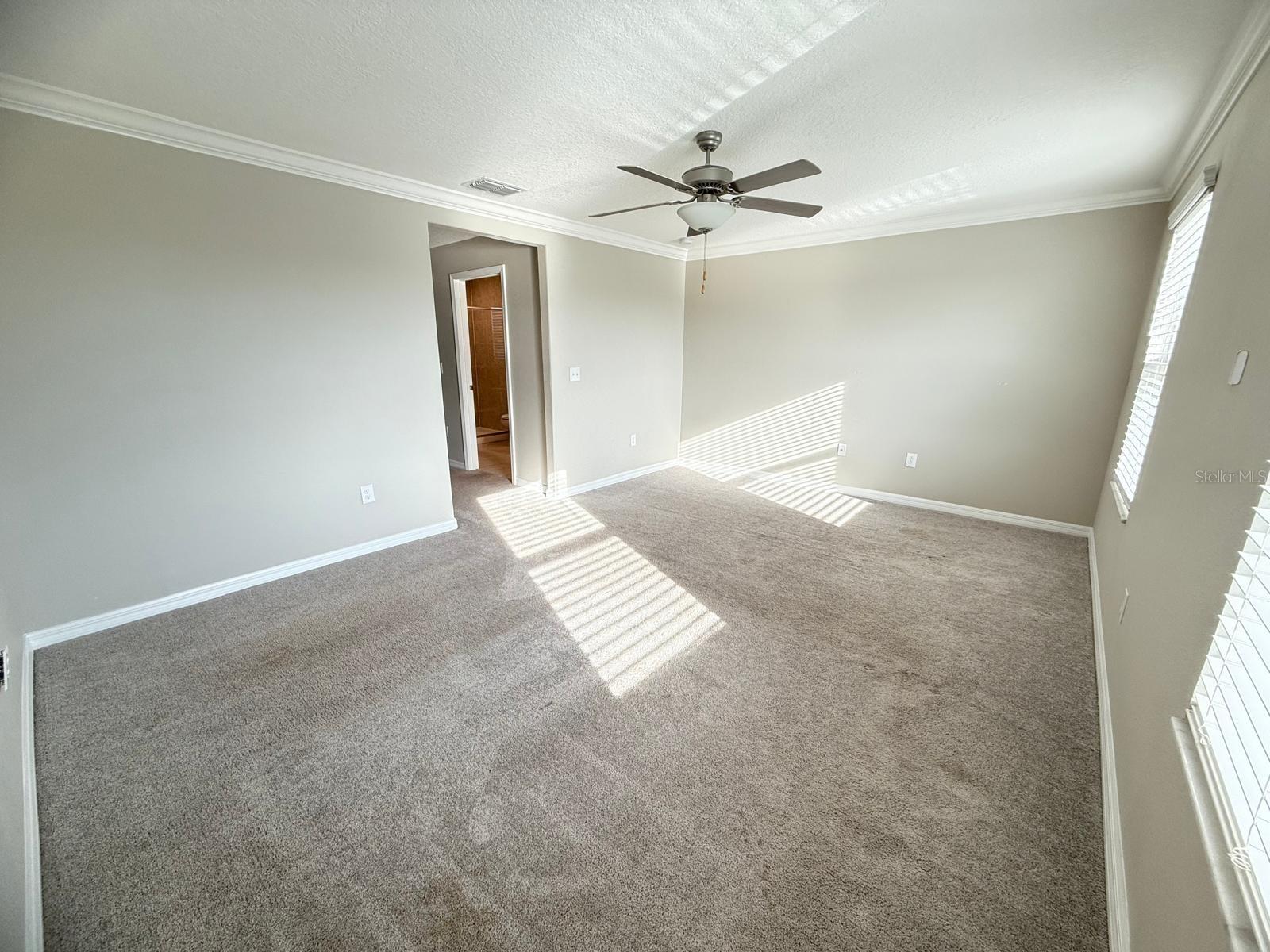 13235 DUPREE HILLS PL, RIVERVIEW, FL, 33579