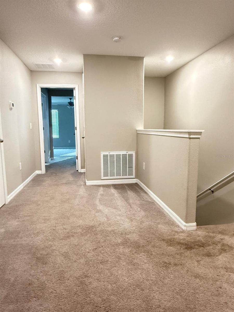 13235 DUPREE HILLS PL, RIVERVIEW, FL, 33579
