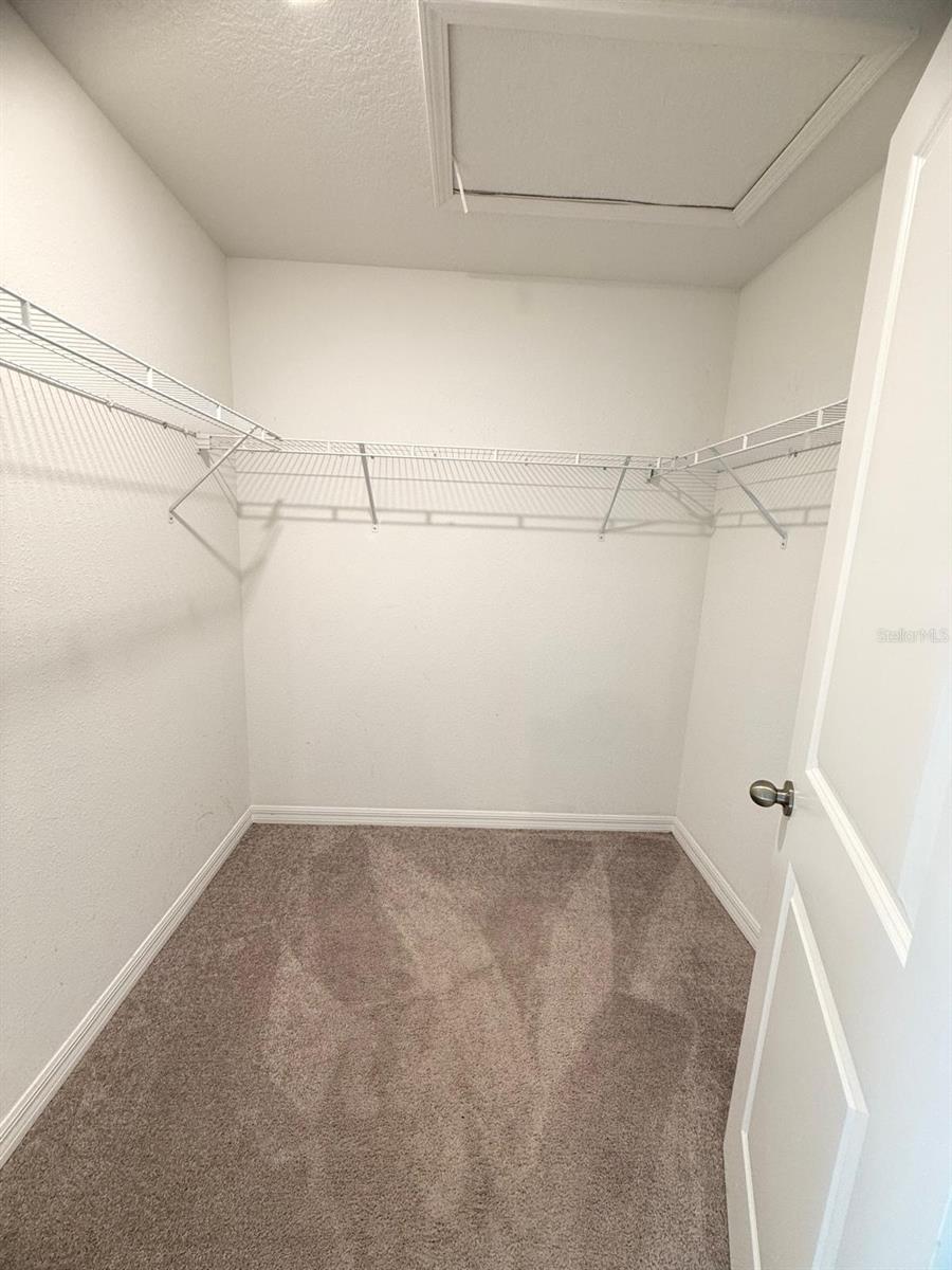 13235 DUPREE HILLS PL, RIVERVIEW, FL, 33579
