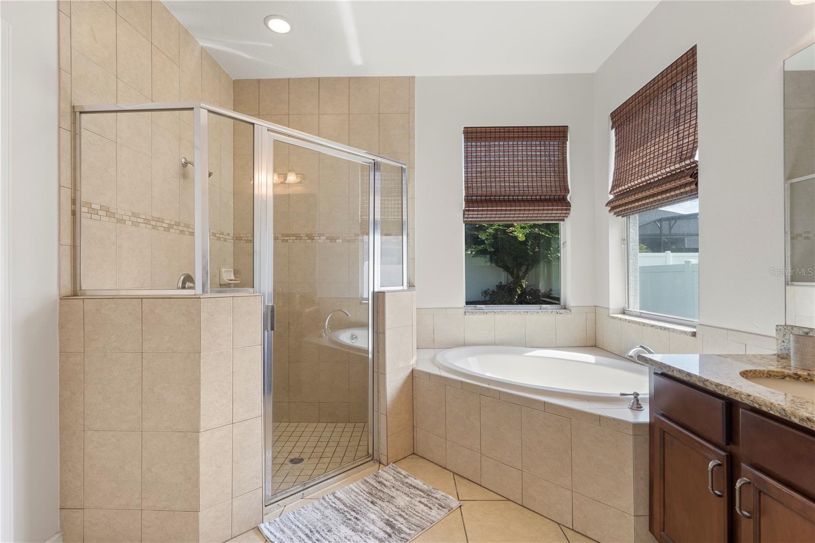 4455 INDIGO SKY LN, KISSIMMEE, FL, 34744