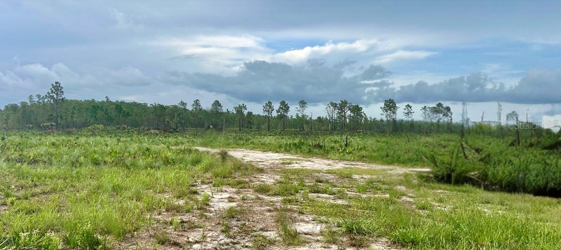 PADGETT TRL, SAINT CLOUD, FL, 34773