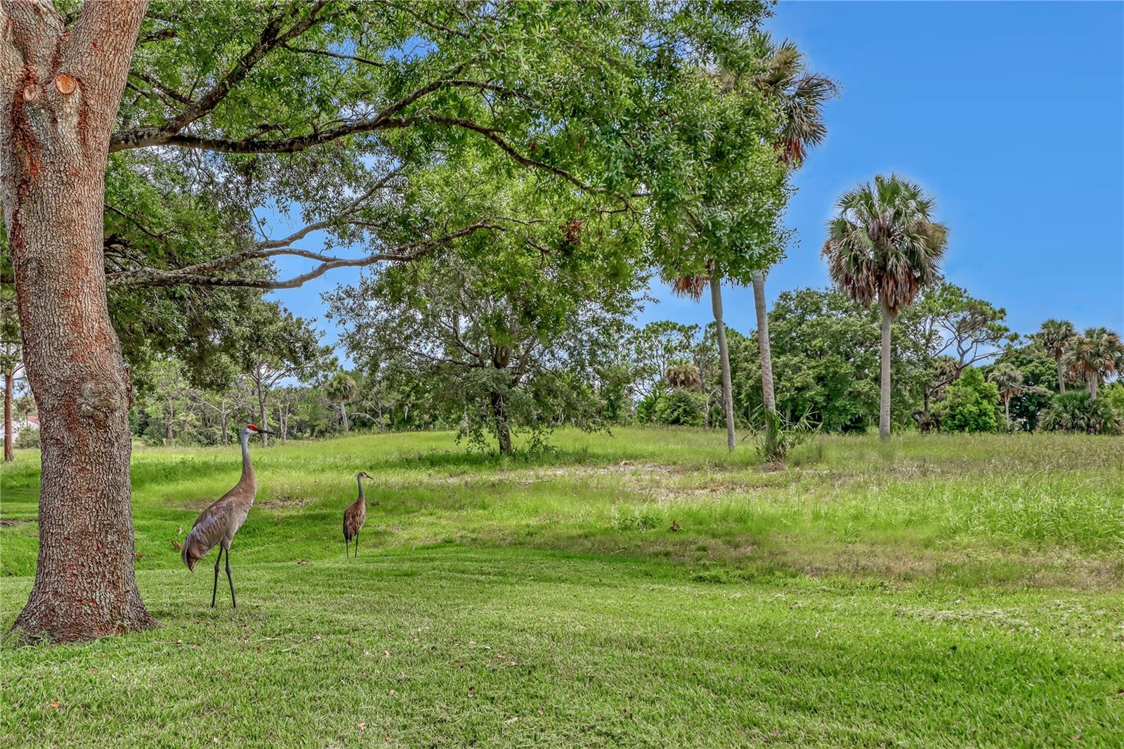 2568 DEMARET DR #308A, TITUSVILLE, FL, 32780