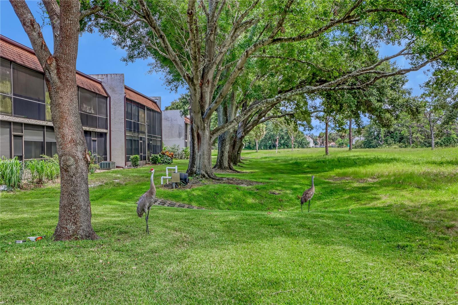 2568 DEMARET DR #308A, TITUSVILLE, FL, 32780