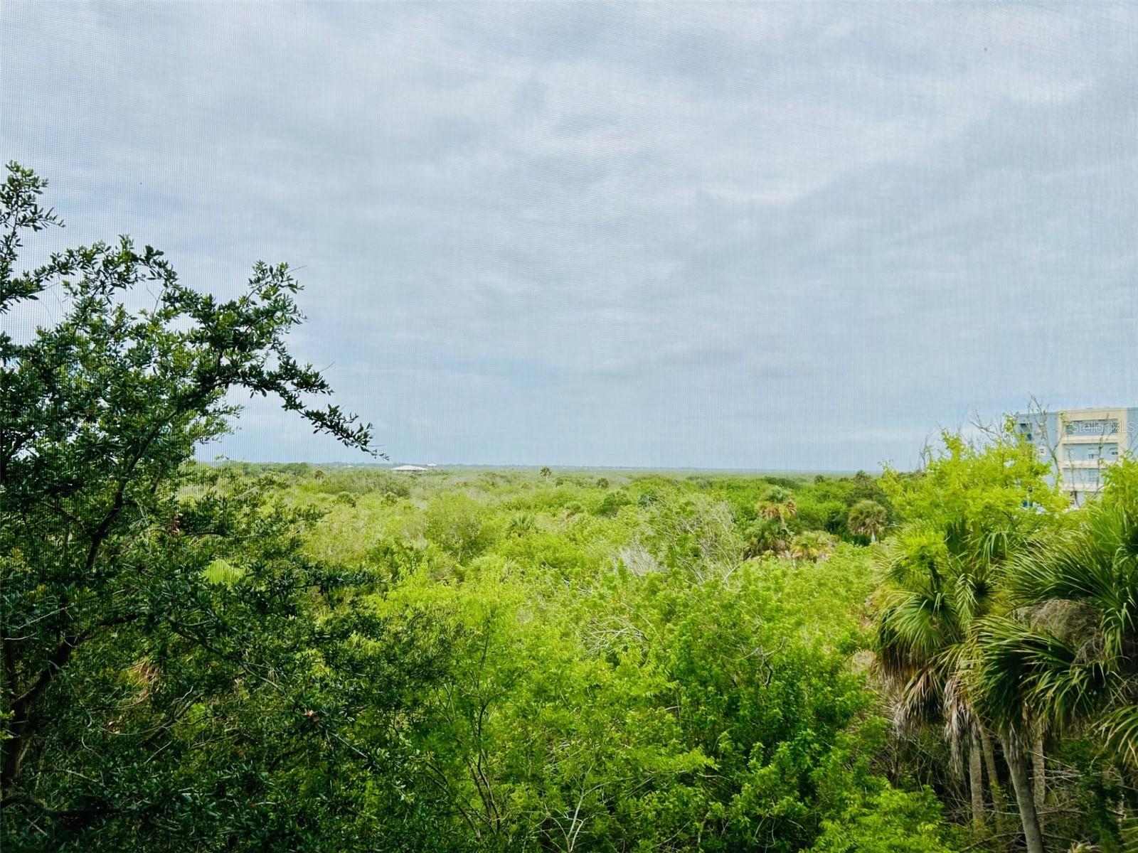 5300 S ATLANTIC AVE #7403, NEW SMYRNA BEACH, FL, 32169