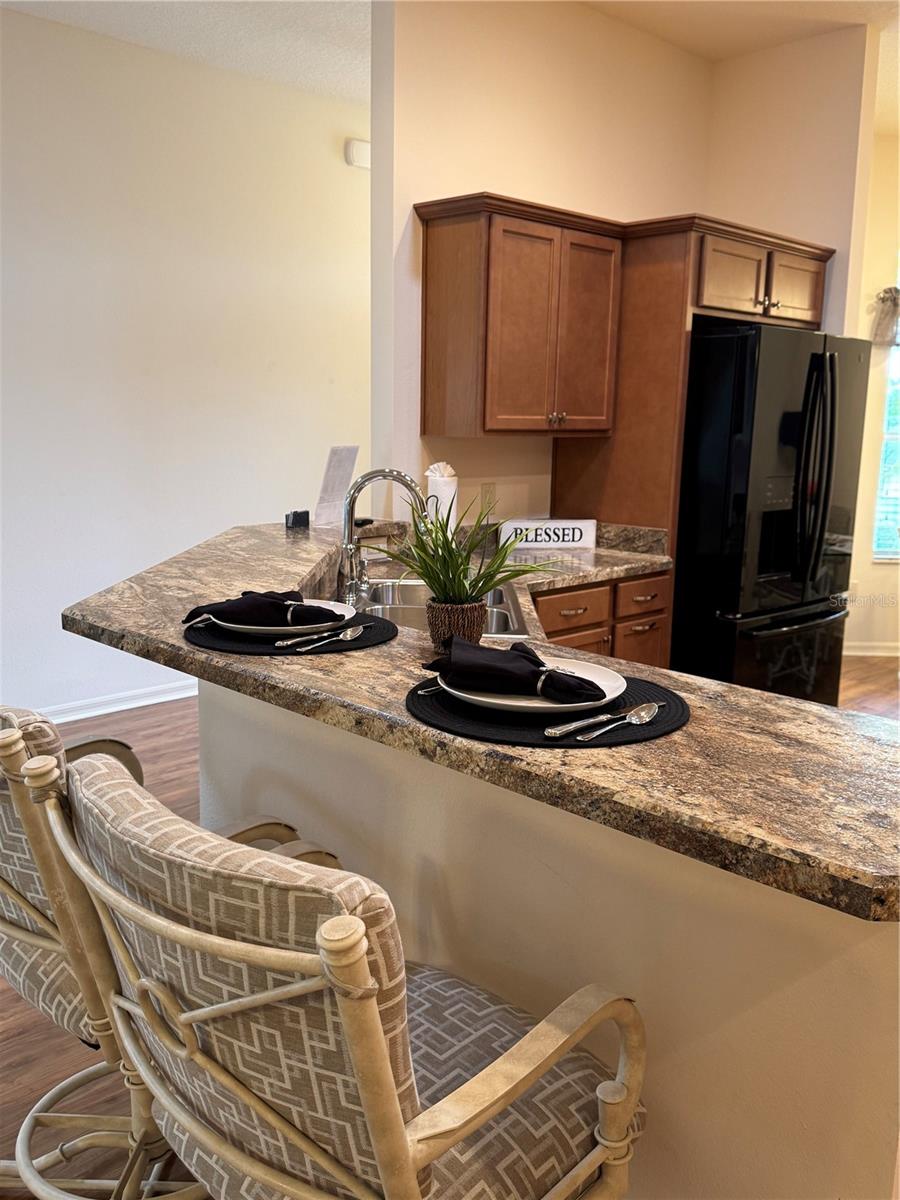 3732 BARREL LOOP, THE VILLAGES, FL, 32163
