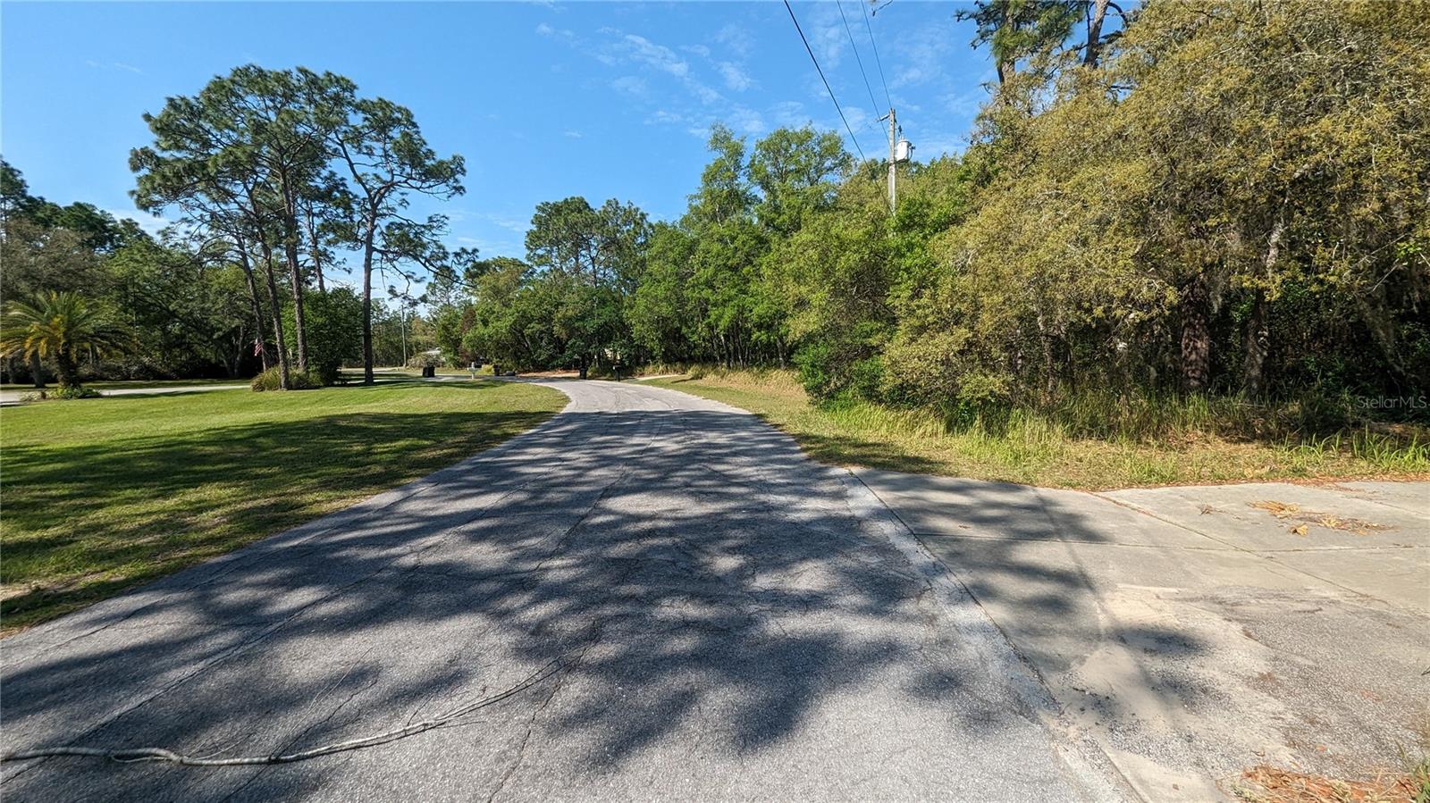 4686 N FICUS DR, BEVERLY HILLS, FL, 34465