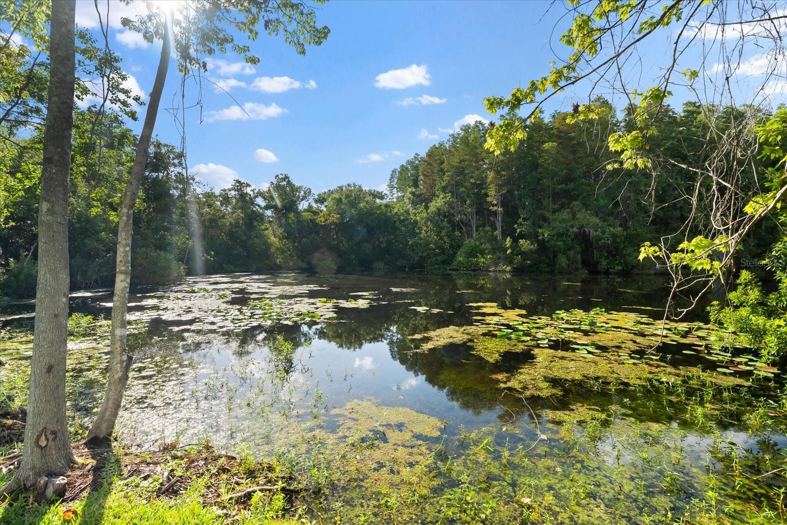 5341 LAKE PEARL CT, TAMPA, FL, 33625