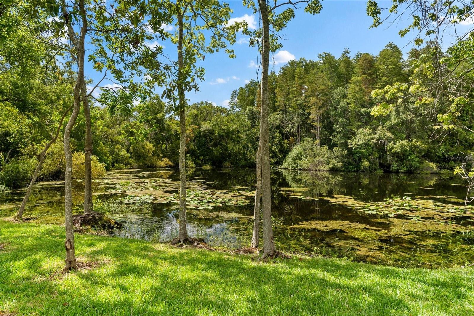 5341 LAKE PEARL CT, TAMPA, FL, 33625