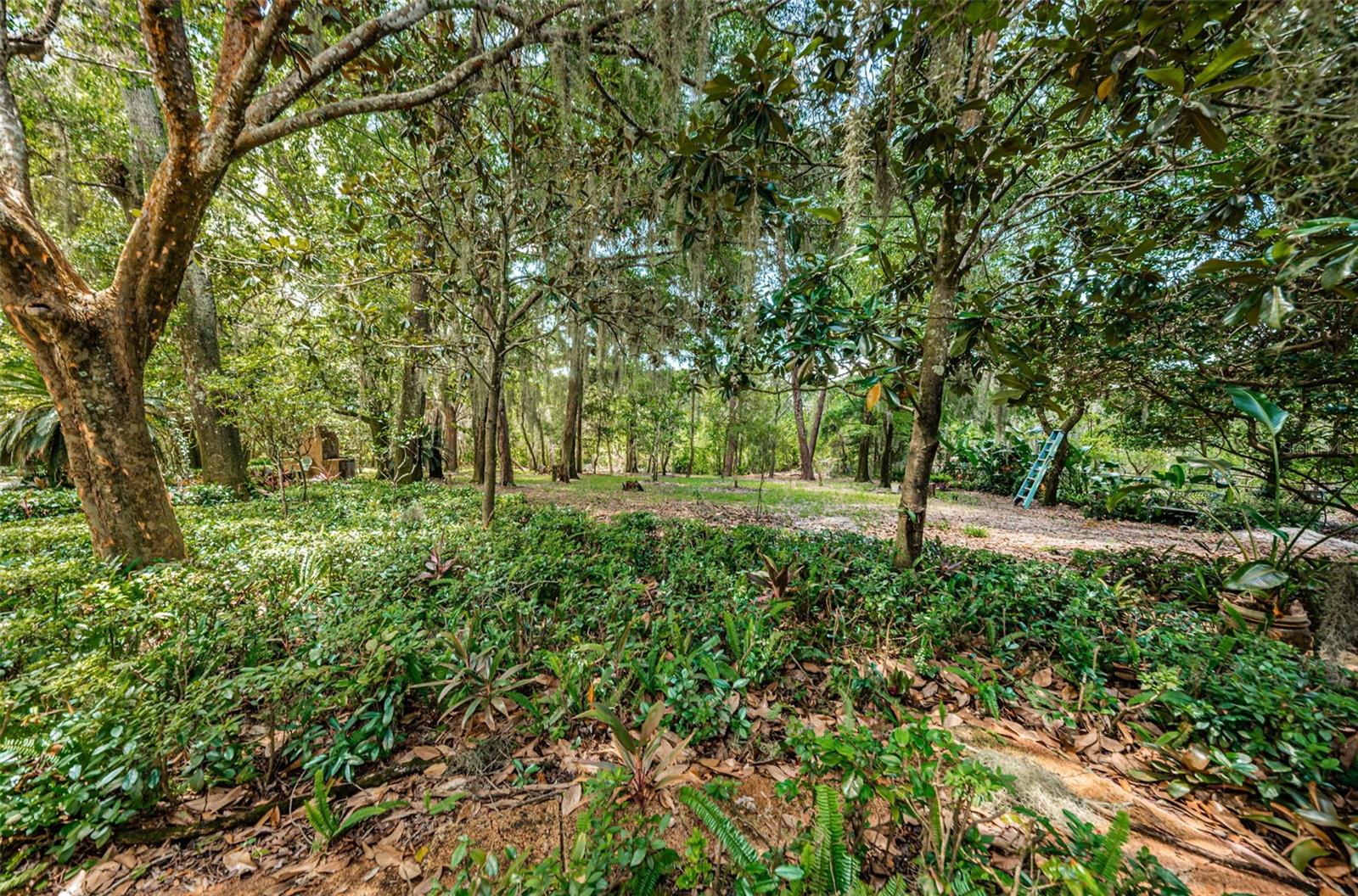2271 KEYSTONE RD, TARPON SPRINGS, FL, 34688
