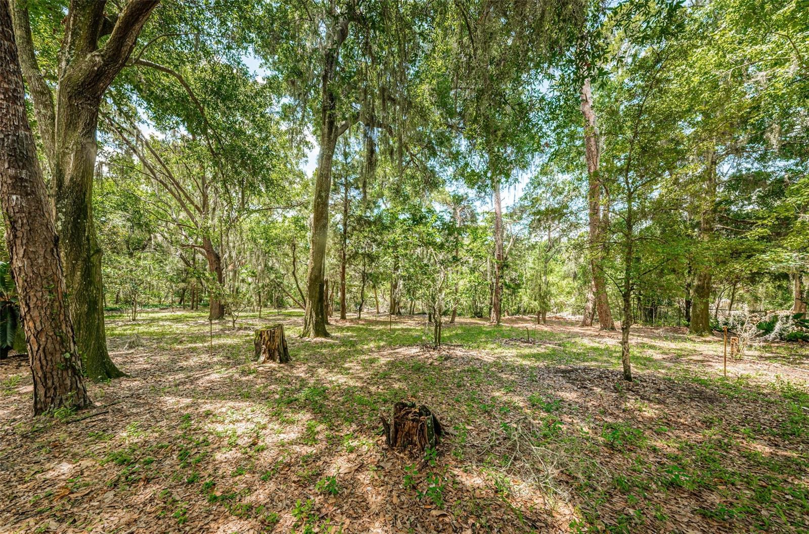 2271 KEYSTONE RD, TARPON SPRINGS, FL, 34688