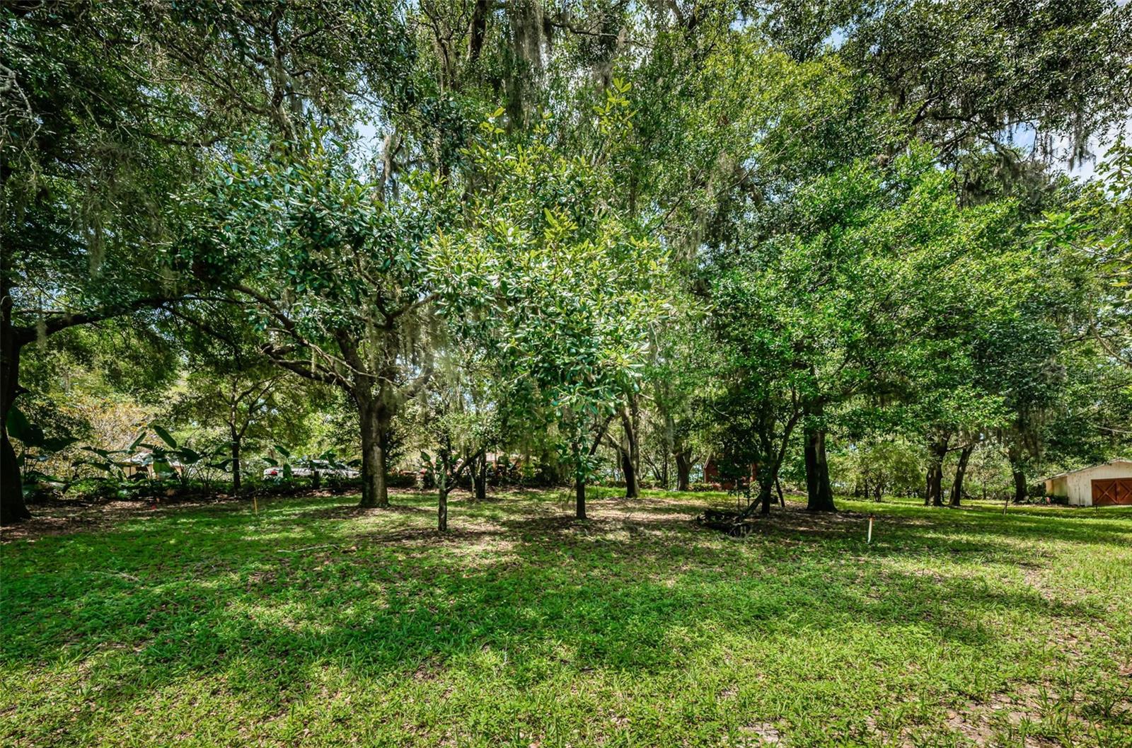 2271 KEYSTONE RD, TARPON SPRINGS, FL, 34688