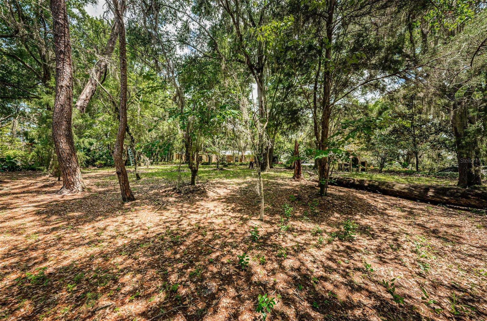 2271 KEYSTONE RD, TARPON SPRINGS, FL, 34688