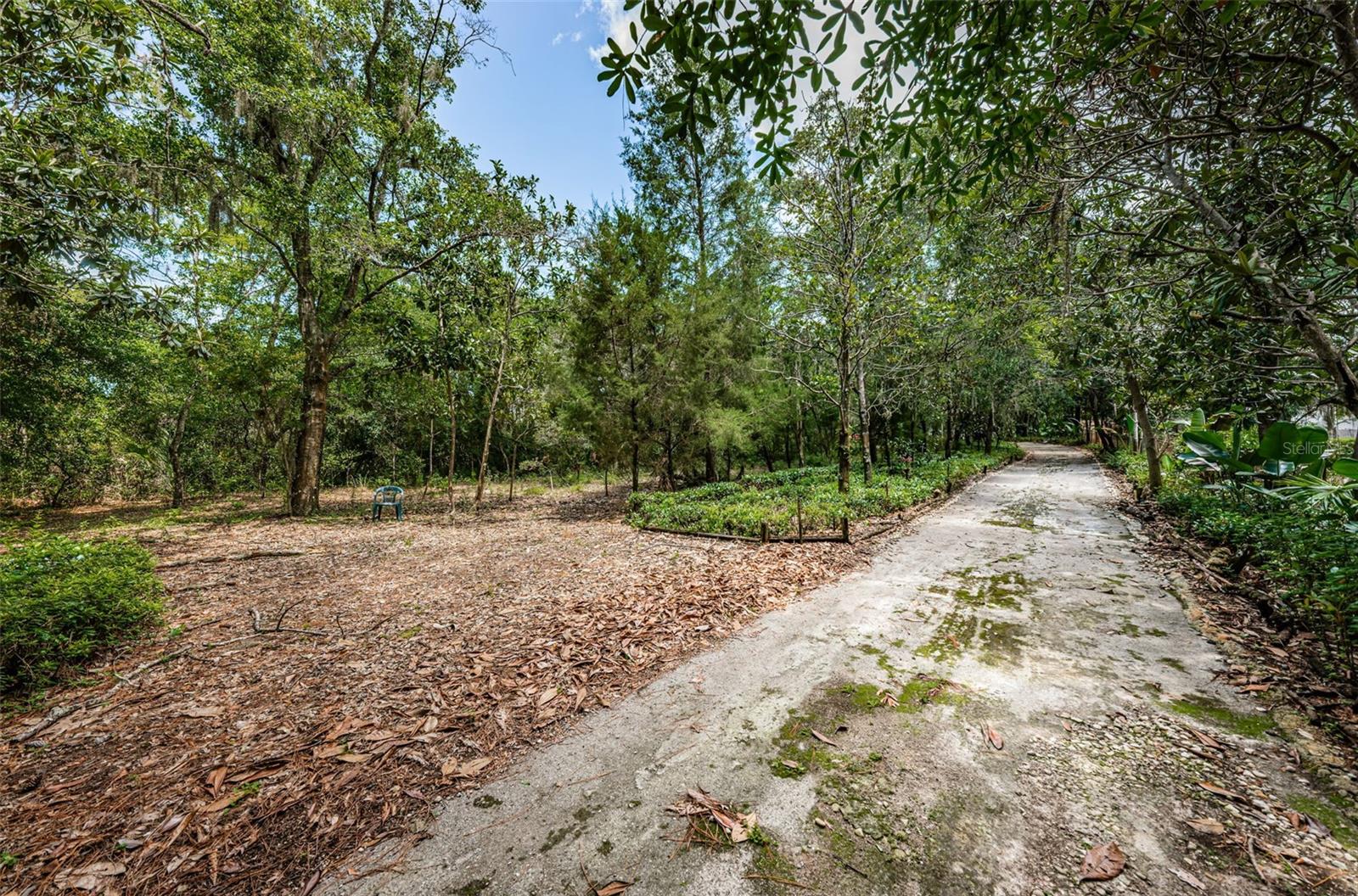 2271 KEYSTONE RD, TARPON SPRINGS, FL, 34688