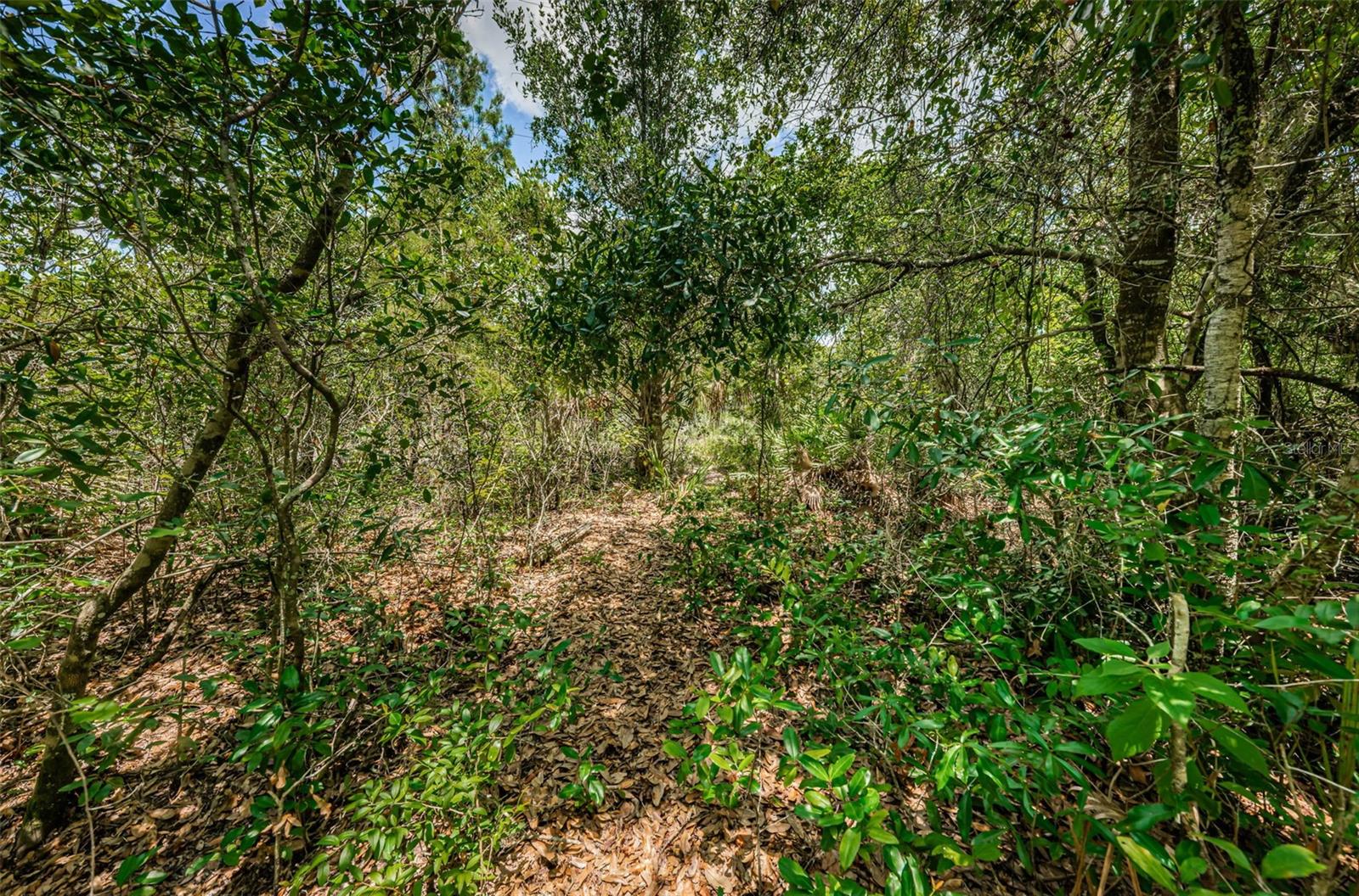 2271 KEYSTONE RD, TARPON SPRINGS, FL, 34688