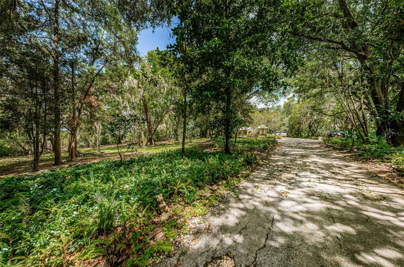2271 KEYSTONE RD, TARPON SPRINGS, FL, 34688