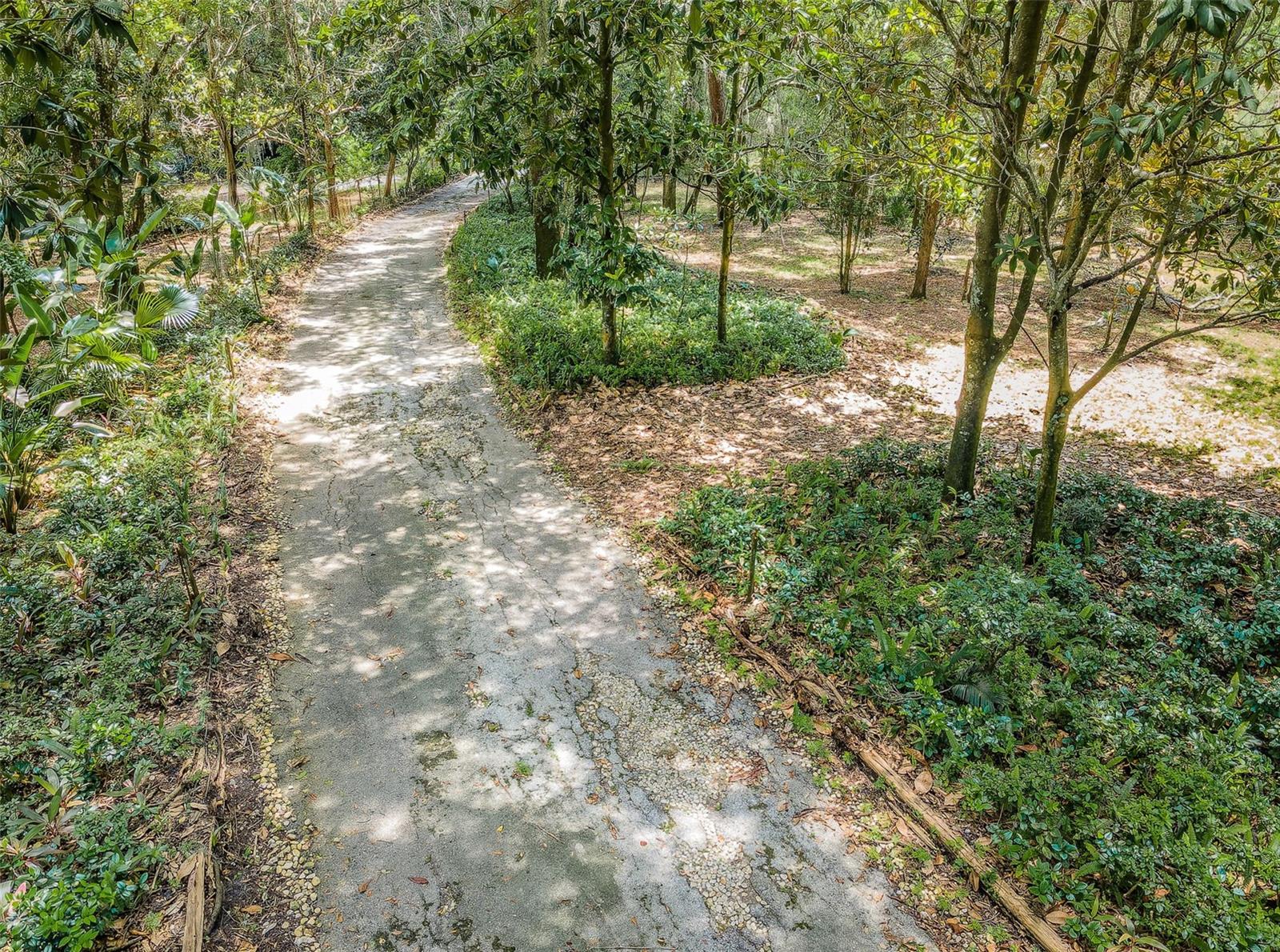 2271 KEYSTONE RD, TARPON SPRINGS, FL, 34688