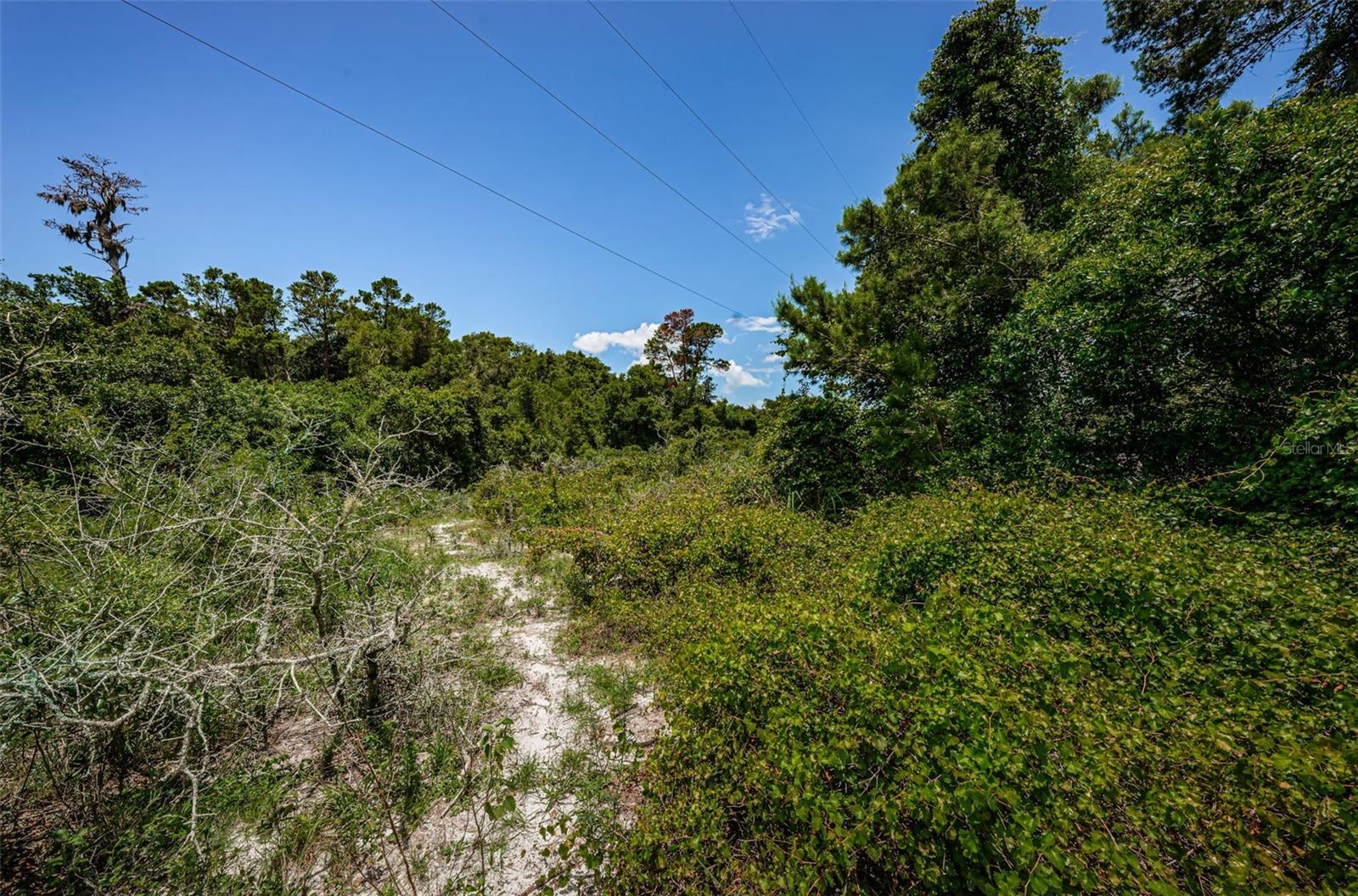 2271 KEYSTONE RD, TARPON SPRINGS, FL, 34688