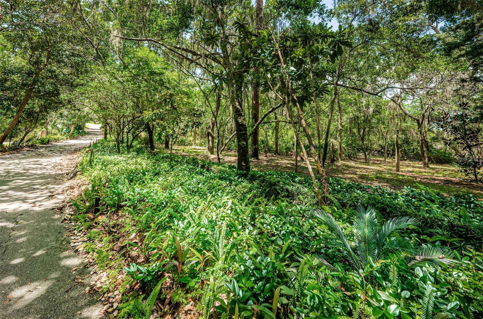 2271 KEYSTONE RD, TARPON SPRINGS, FL, 34688