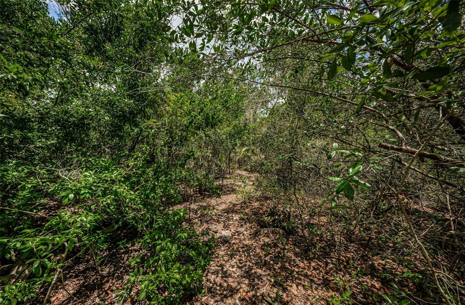 2271 KEYSTONE RD, TARPON SPRINGS, FL, 34688