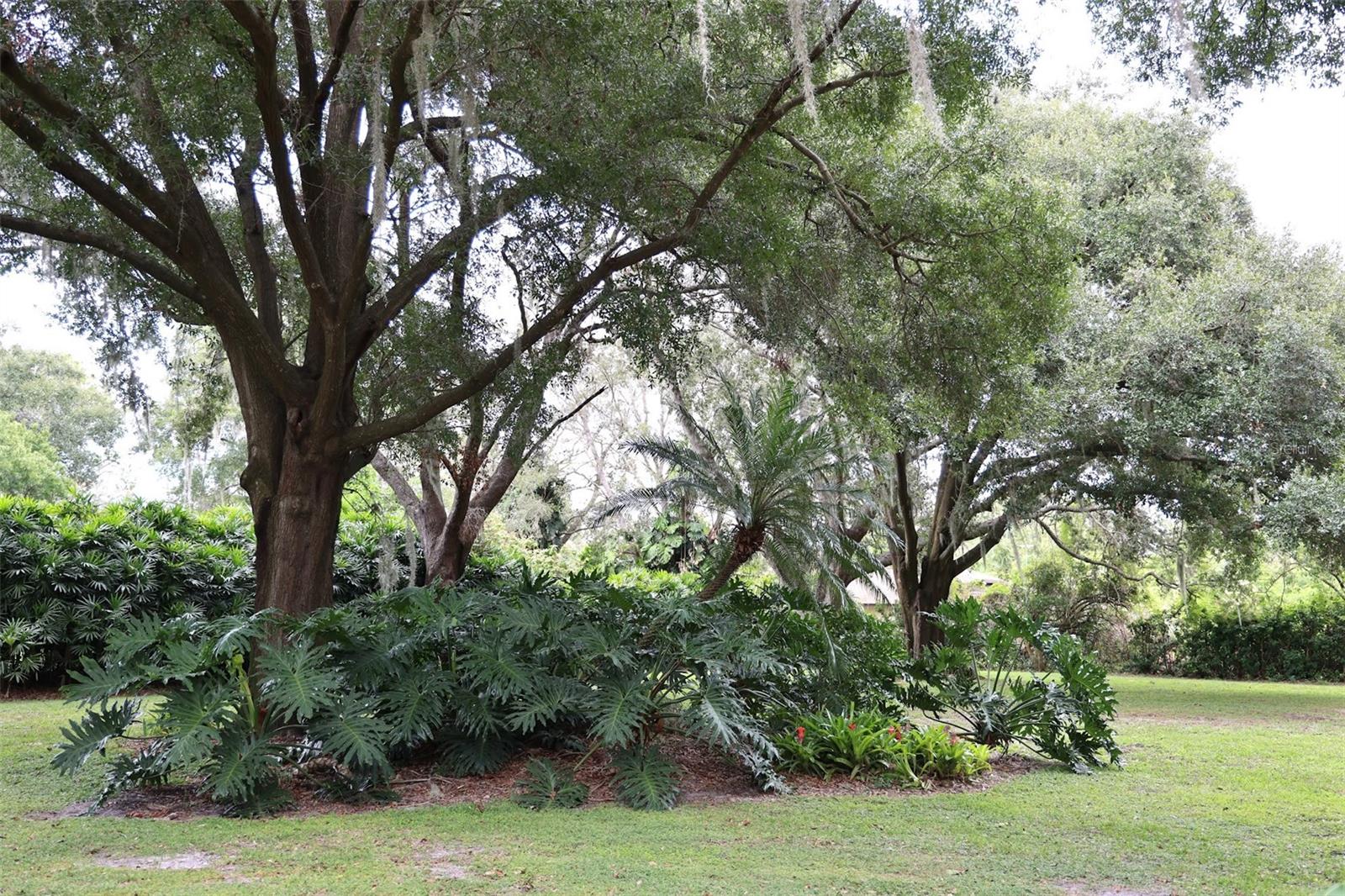 12025 LAKE BUTLER BLVD, WINDERMERE, FL, 34786