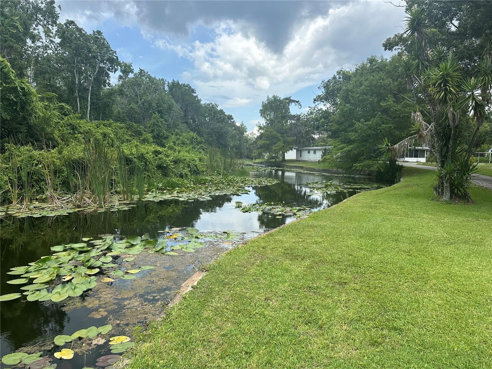 11325 OCKLAWAHA DR, LEESBURG, FL, 34788