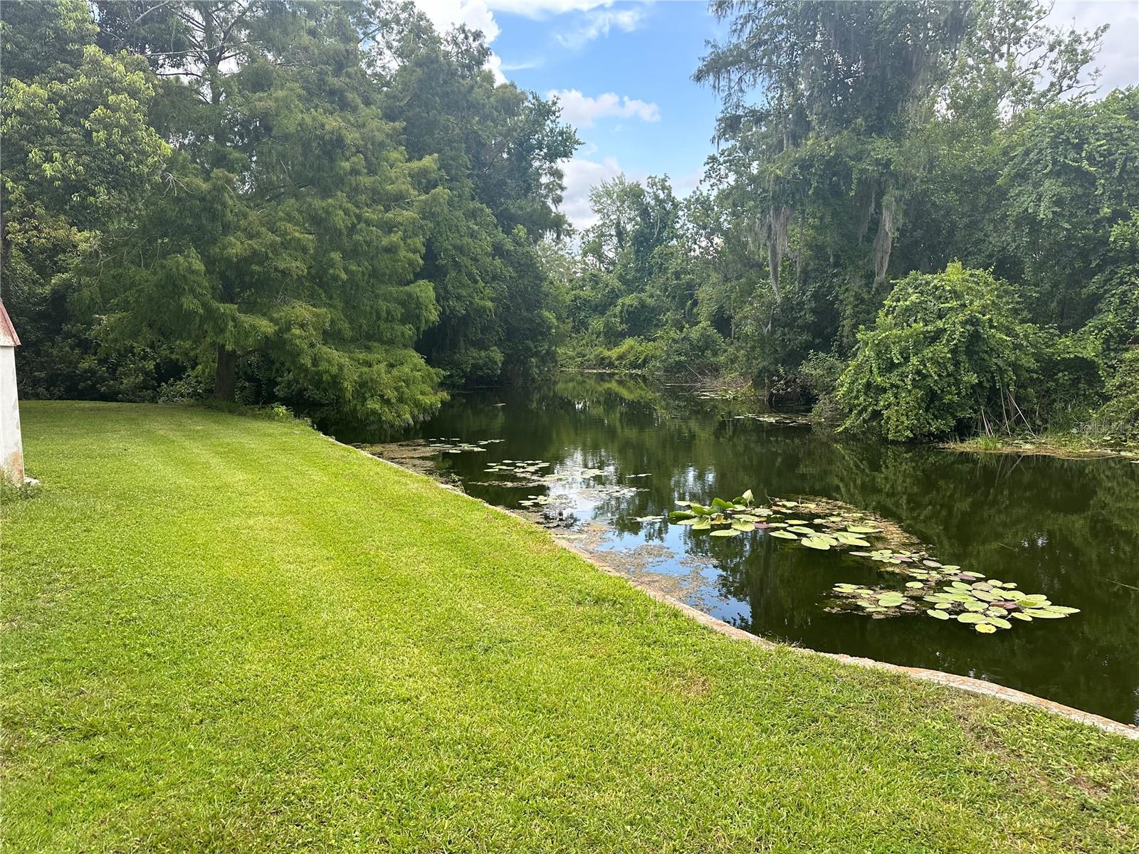 11325 OCKLAWAHA DR, LEESBURG, FL, 34788