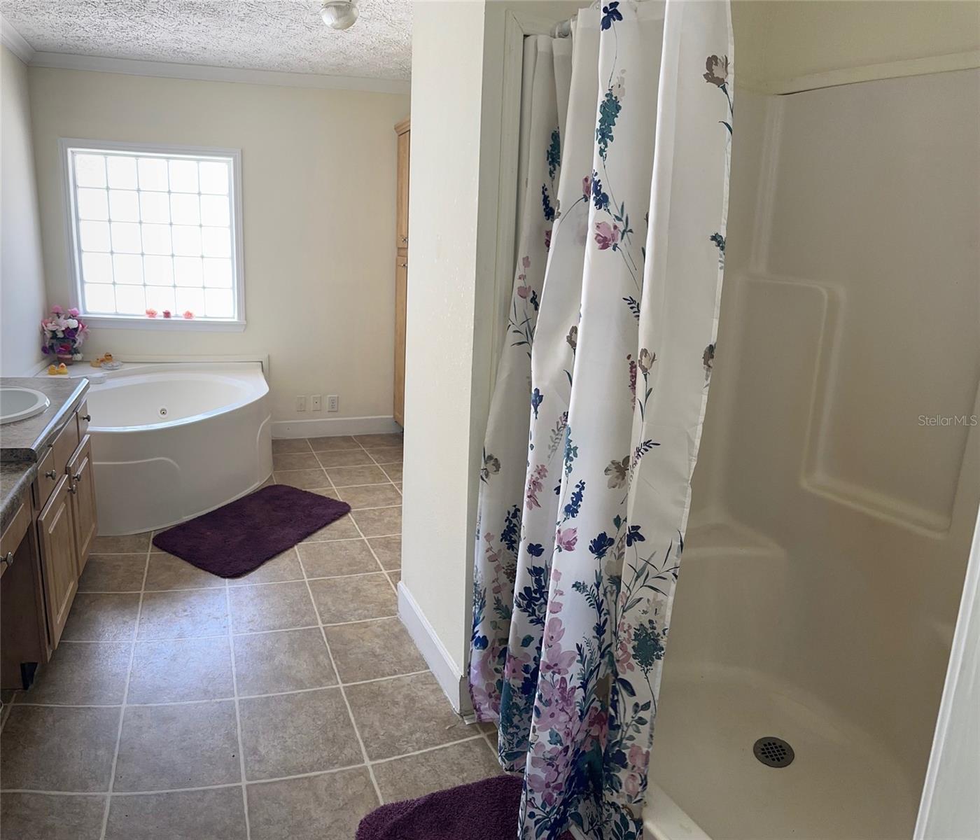 15821 ARCHER ST, HUDSON, FL, 34667