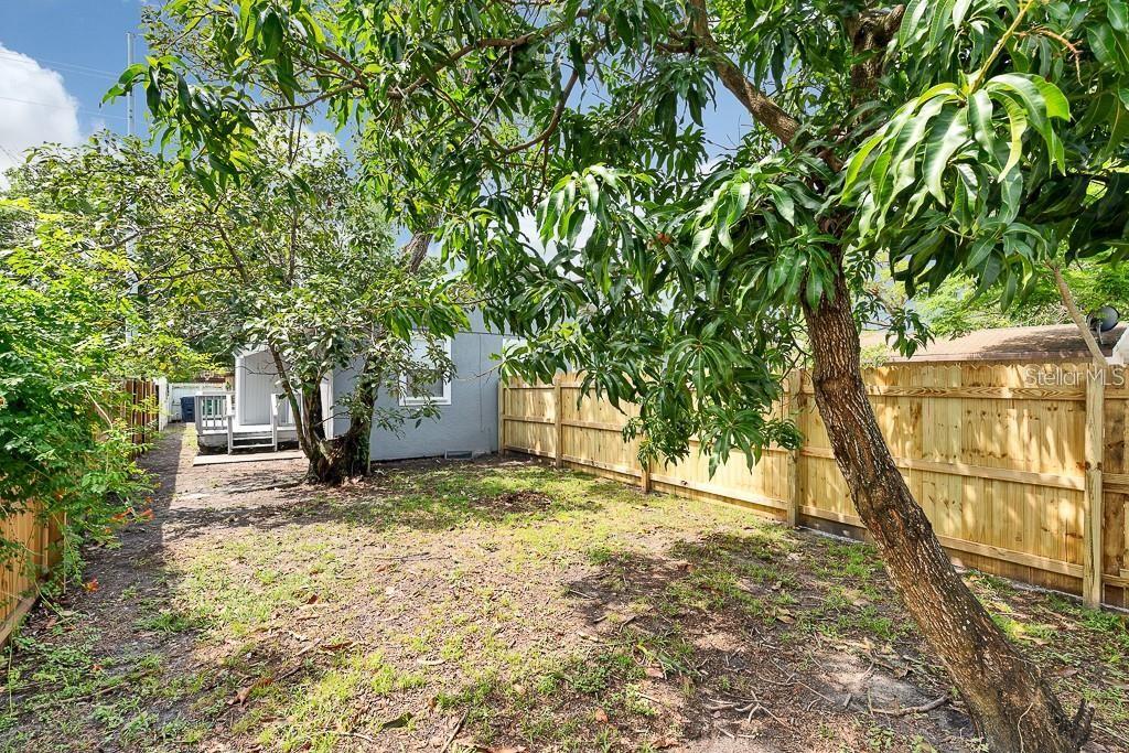 3013 W IVY ST #B, TAMPA, FL, 33607