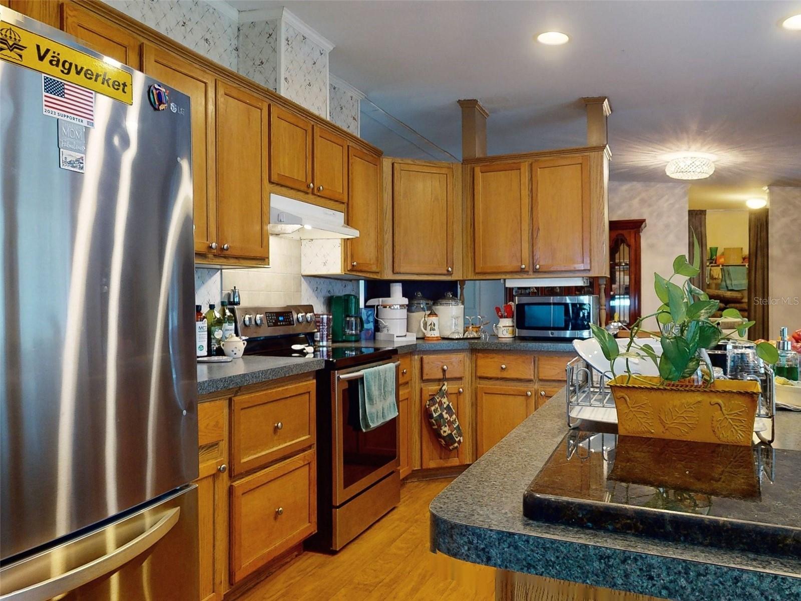 10645 SE 145TH ST, SUMMERFIELD, FL, 34491