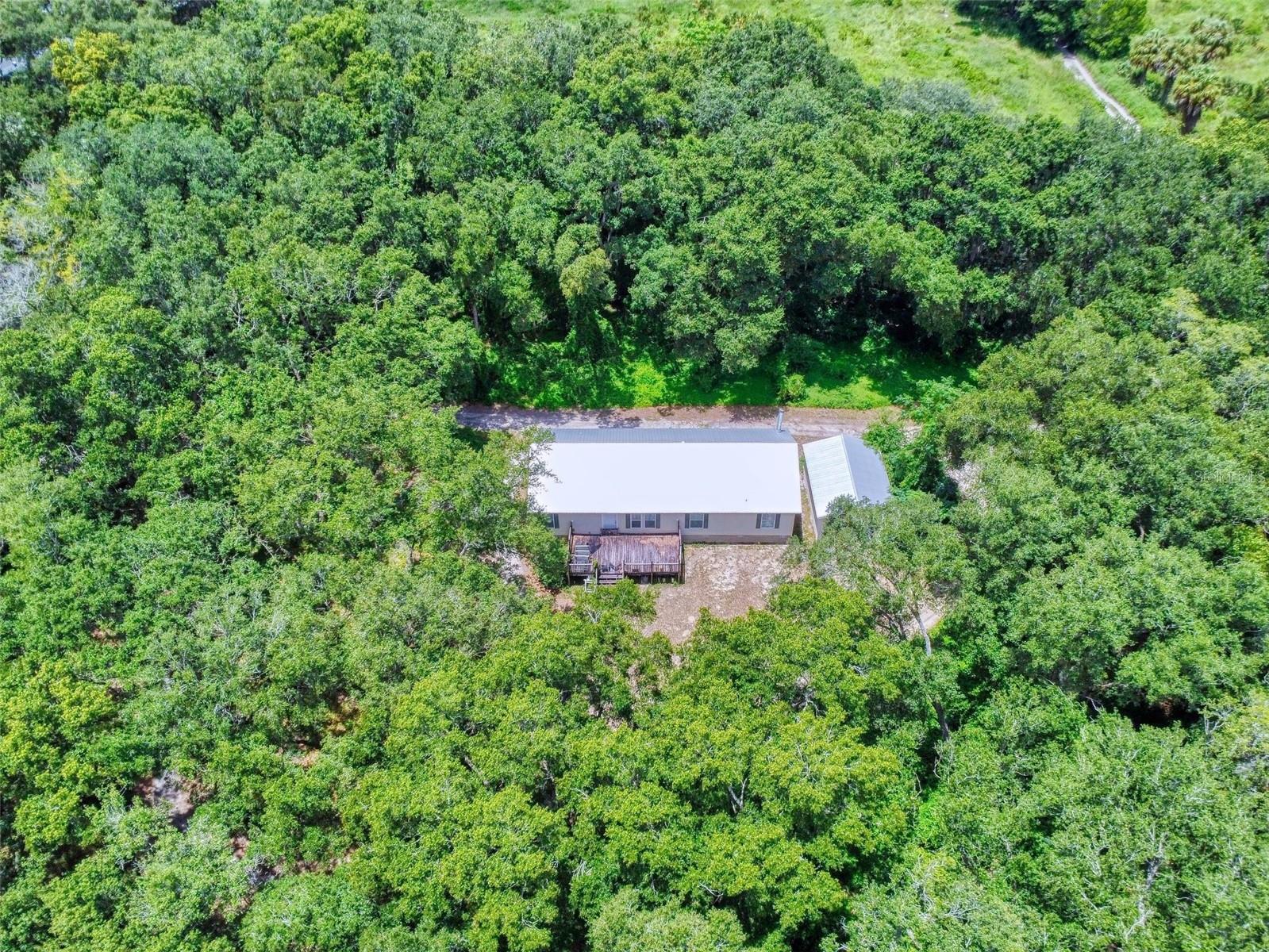 10645 SE 145TH ST, SUMMERFIELD, FL, 34491