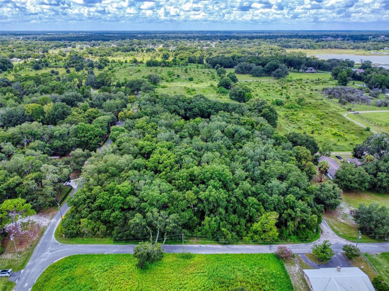 10645 SE 145TH ST, SUMMERFIELD, FL, 34491