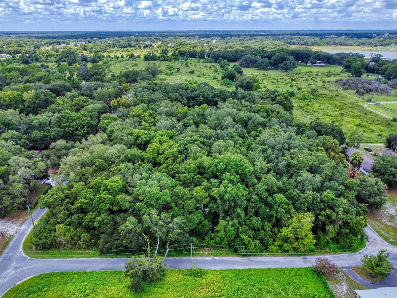 10645 SE 145TH ST, SUMMERFIELD, FL, 34491