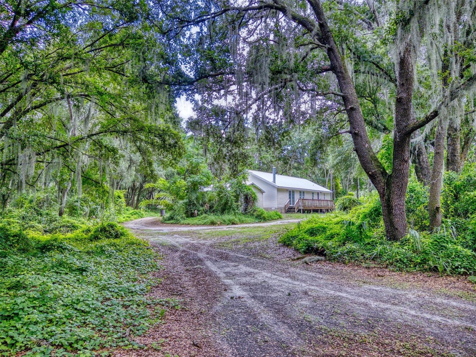 10645 SE 145TH ST, SUMMERFIELD, FL, 34491