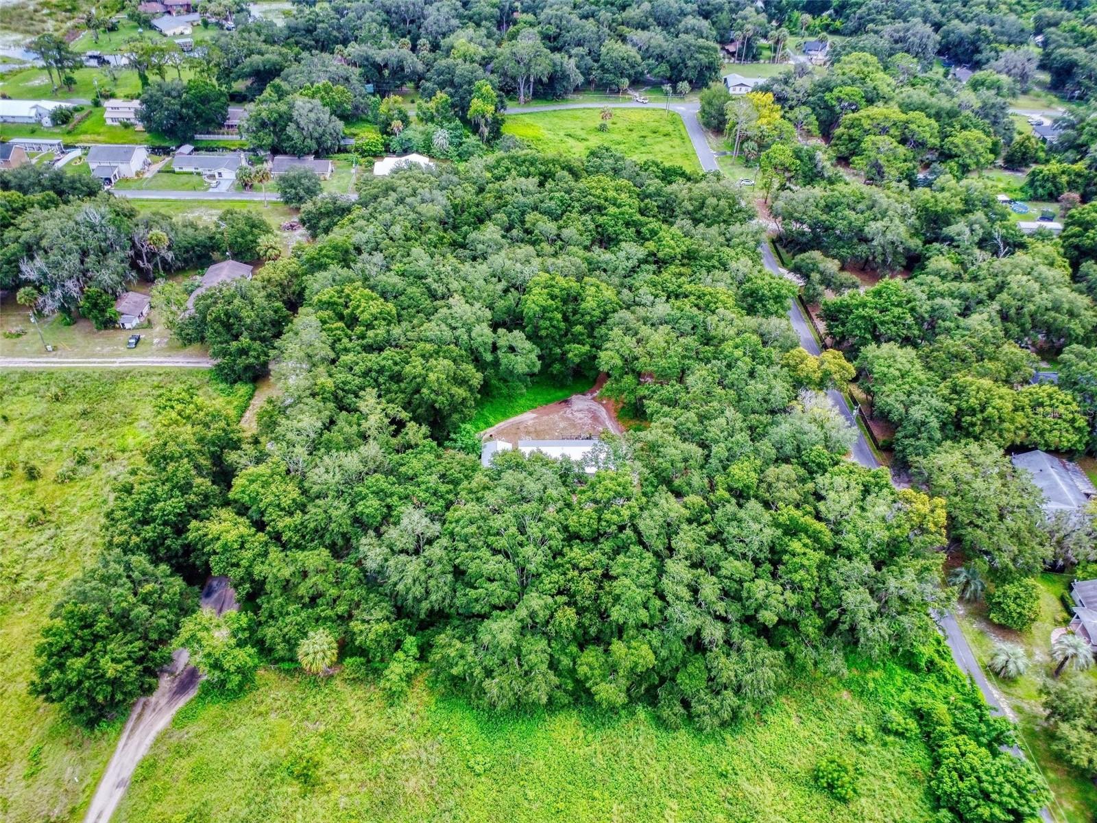 10645 SE 145TH ST, SUMMERFIELD, FL, 34491