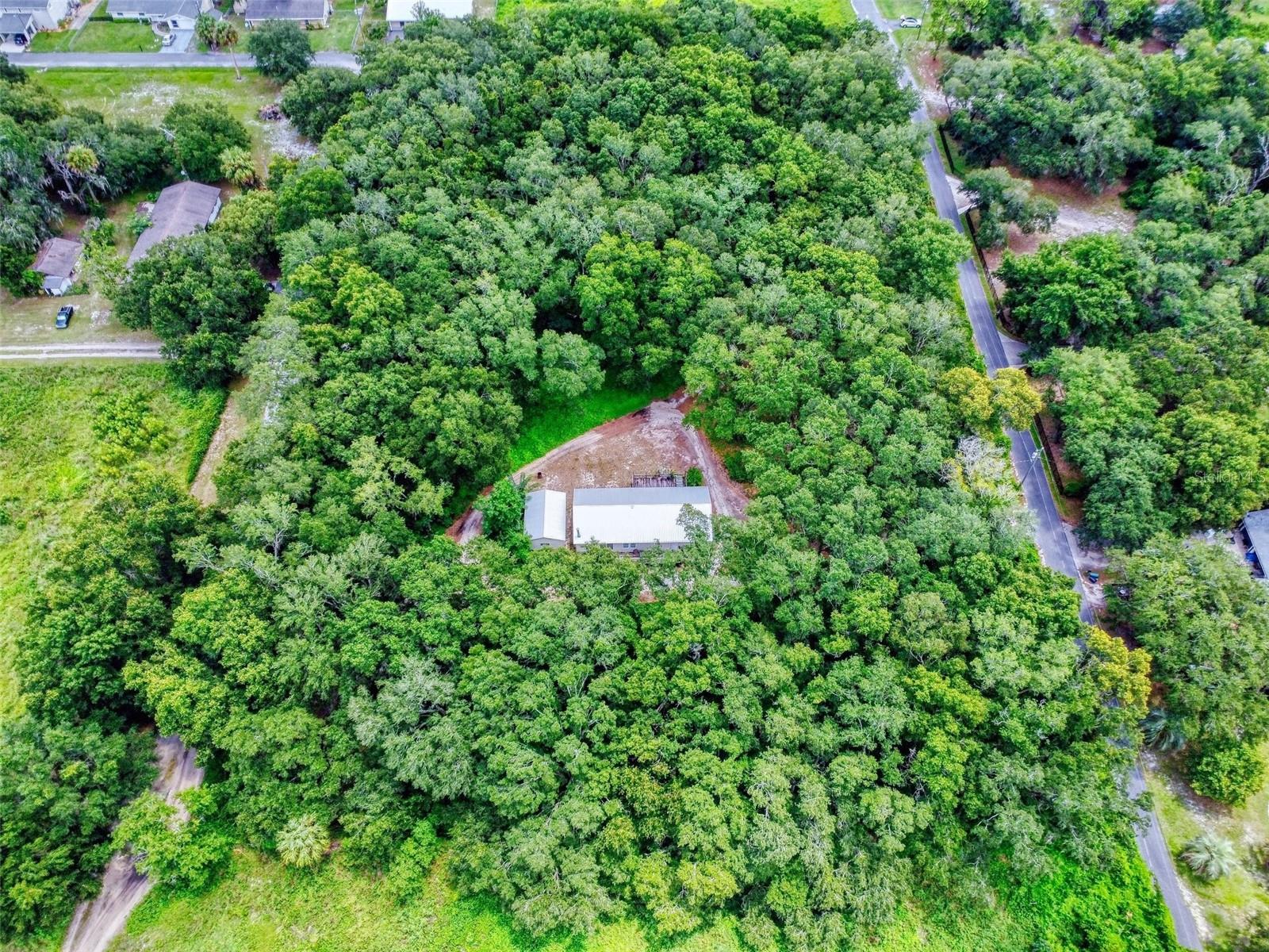 10645 SE 145TH ST, SUMMERFIELD, FL, 34491