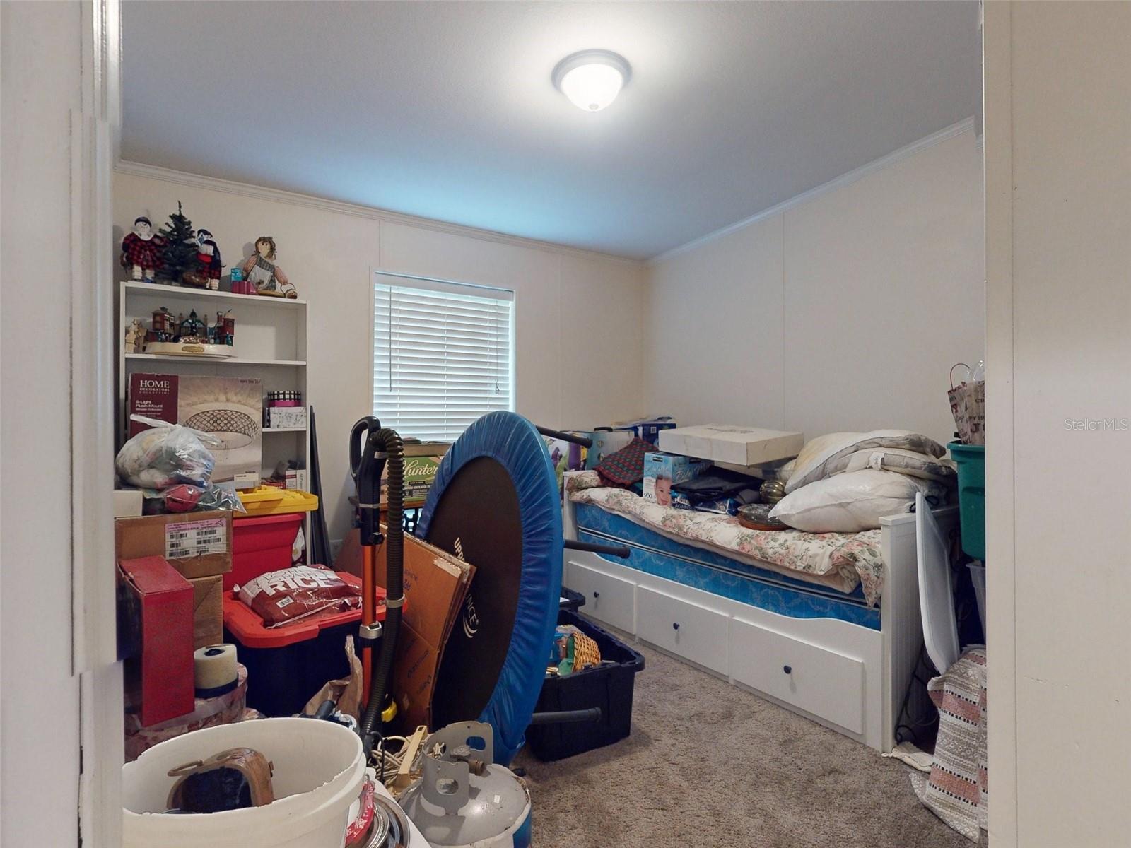 10645 SE 145TH ST, SUMMERFIELD, FL, 34491