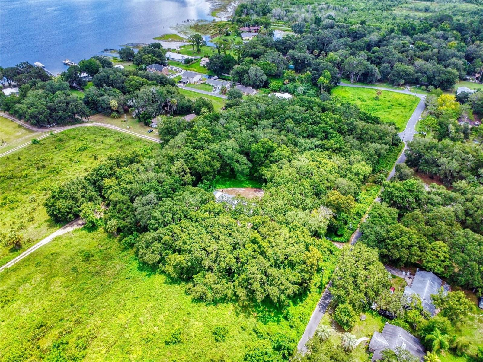 10645 SE 145TH ST, SUMMERFIELD, FL, 34491