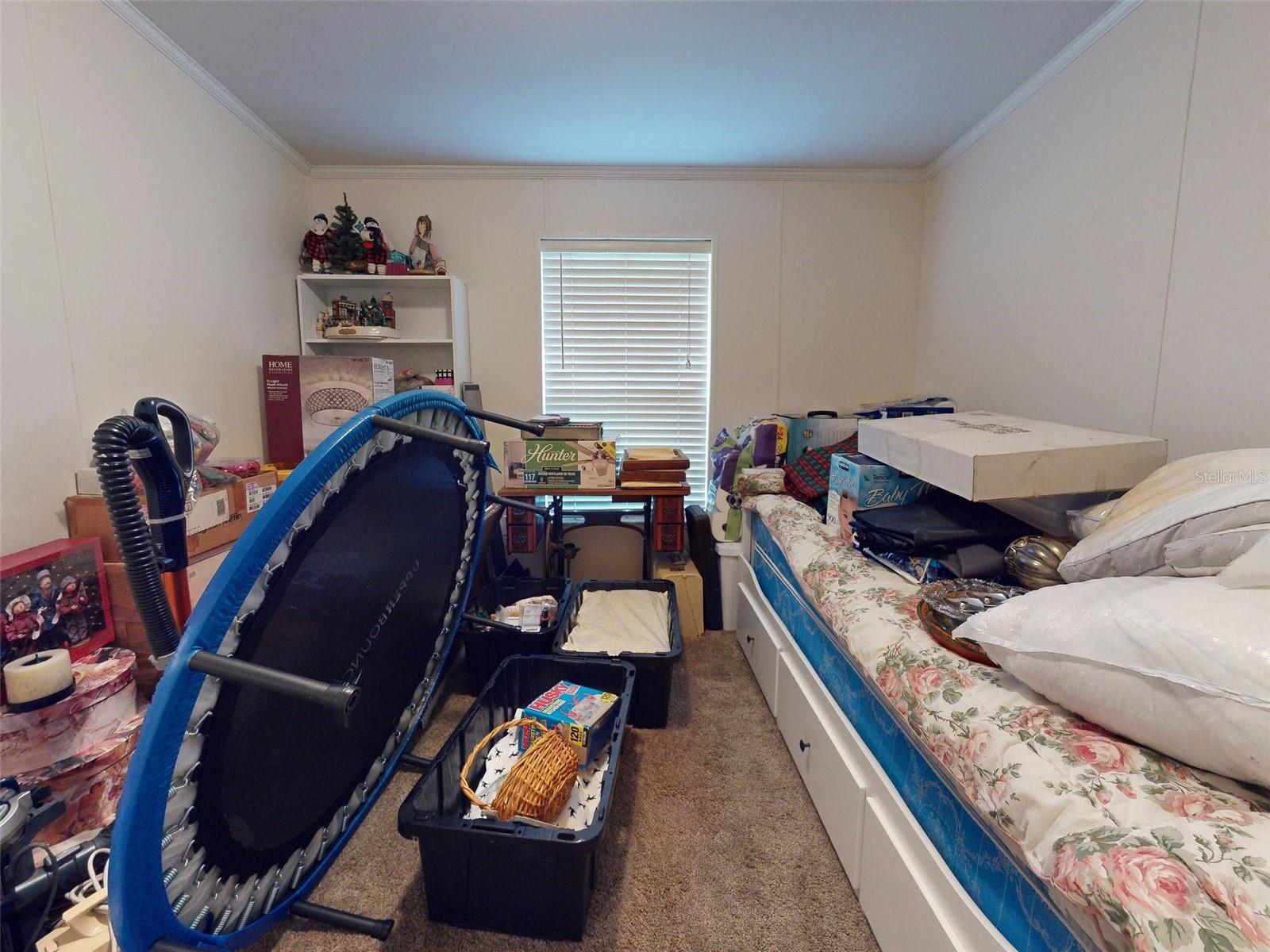 10645 SE 145TH ST, SUMMERFIELD, FL, 34491
