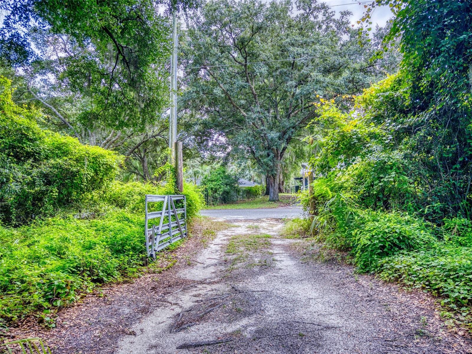 10645 SE 145TH ST, SUMMERFIELD, FL, 34491
