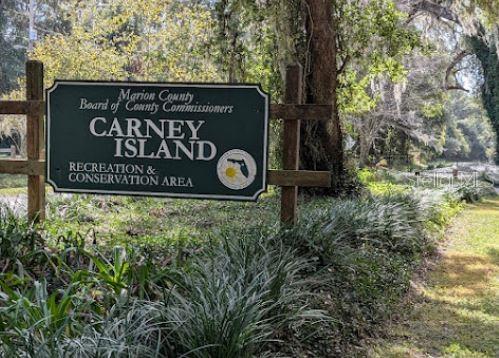 10645 SE 145TH ST, SUMMERFIELD, FL, 34491