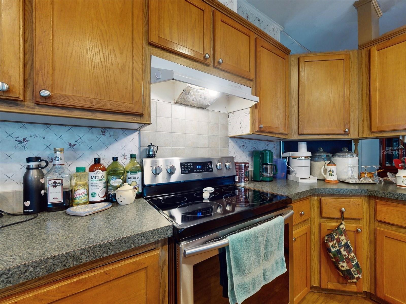 10645 SE 145TH ST, SUMMERFIELD, FL, 34491