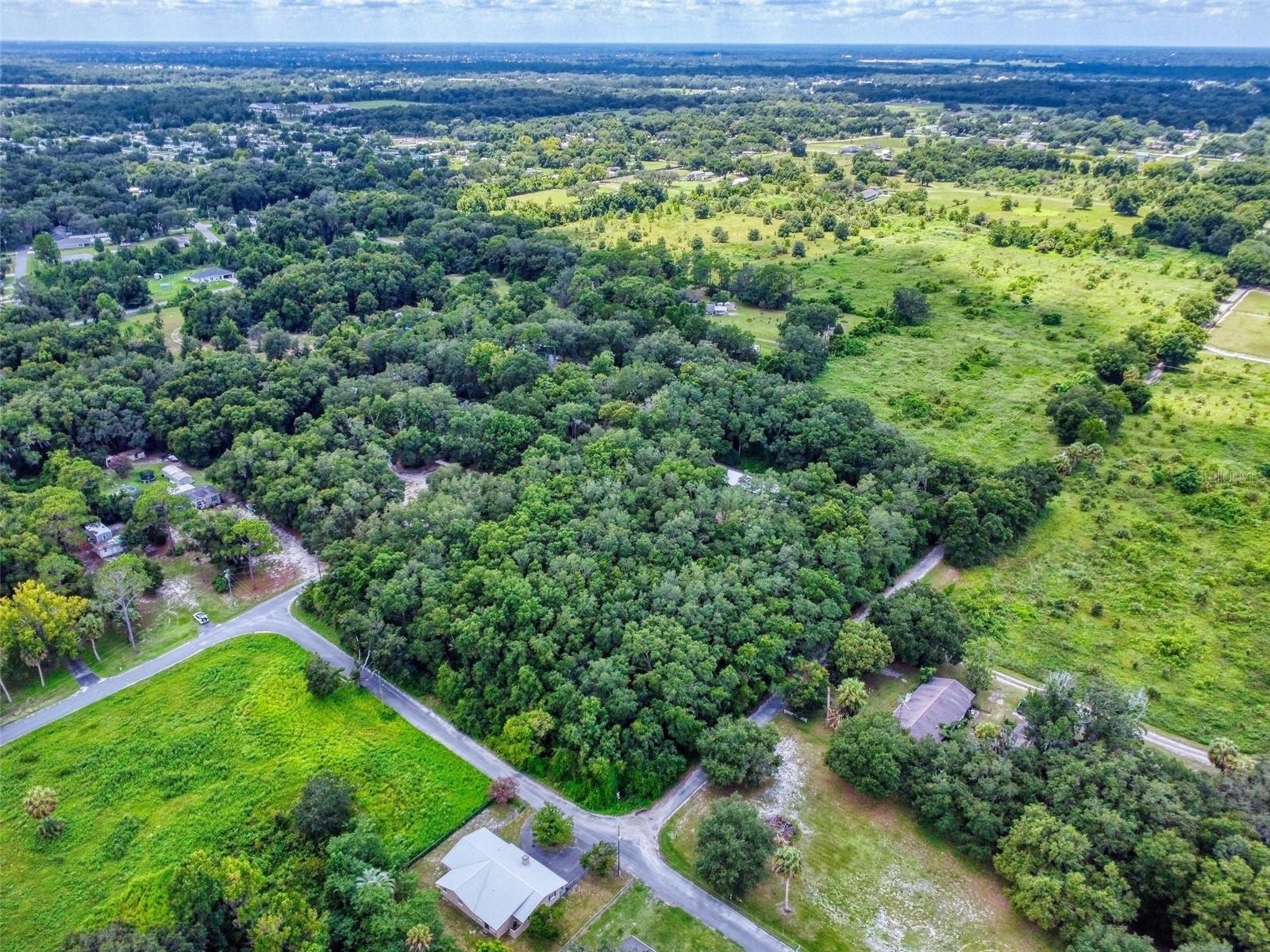 10645 SE 145TH ST, SUMMERFIELD, FL, 34491