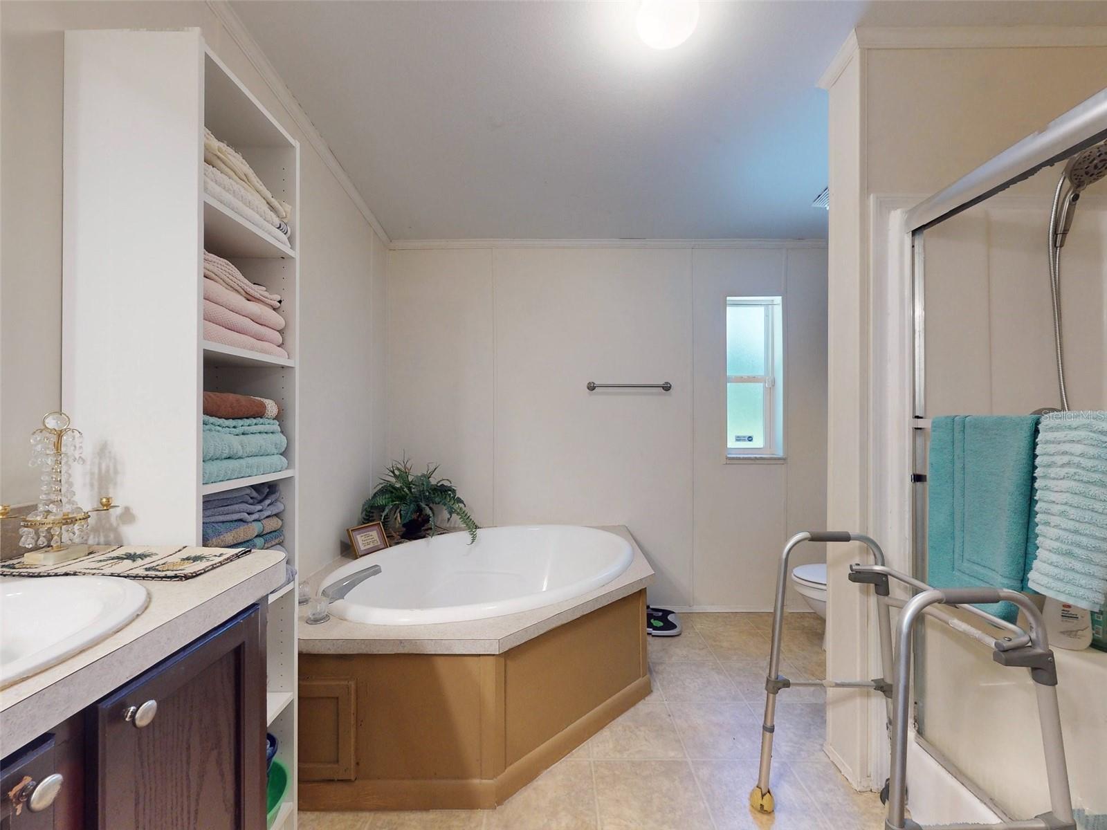 10645 SE 145TH ST, SUMMERFIELD, FL, 34491