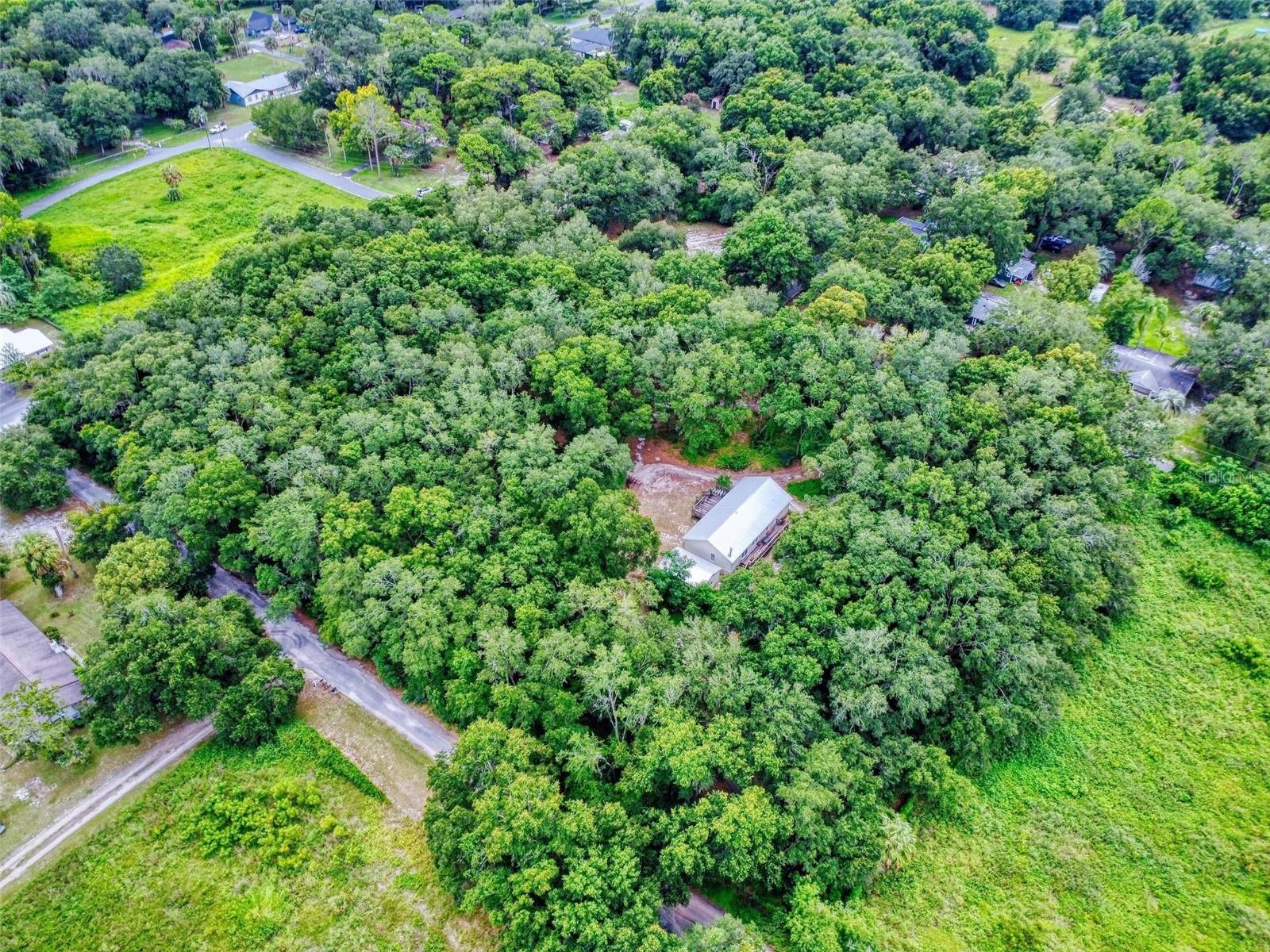 10645 SE 145TH ST, SUMMERFIELD, FL, 34491