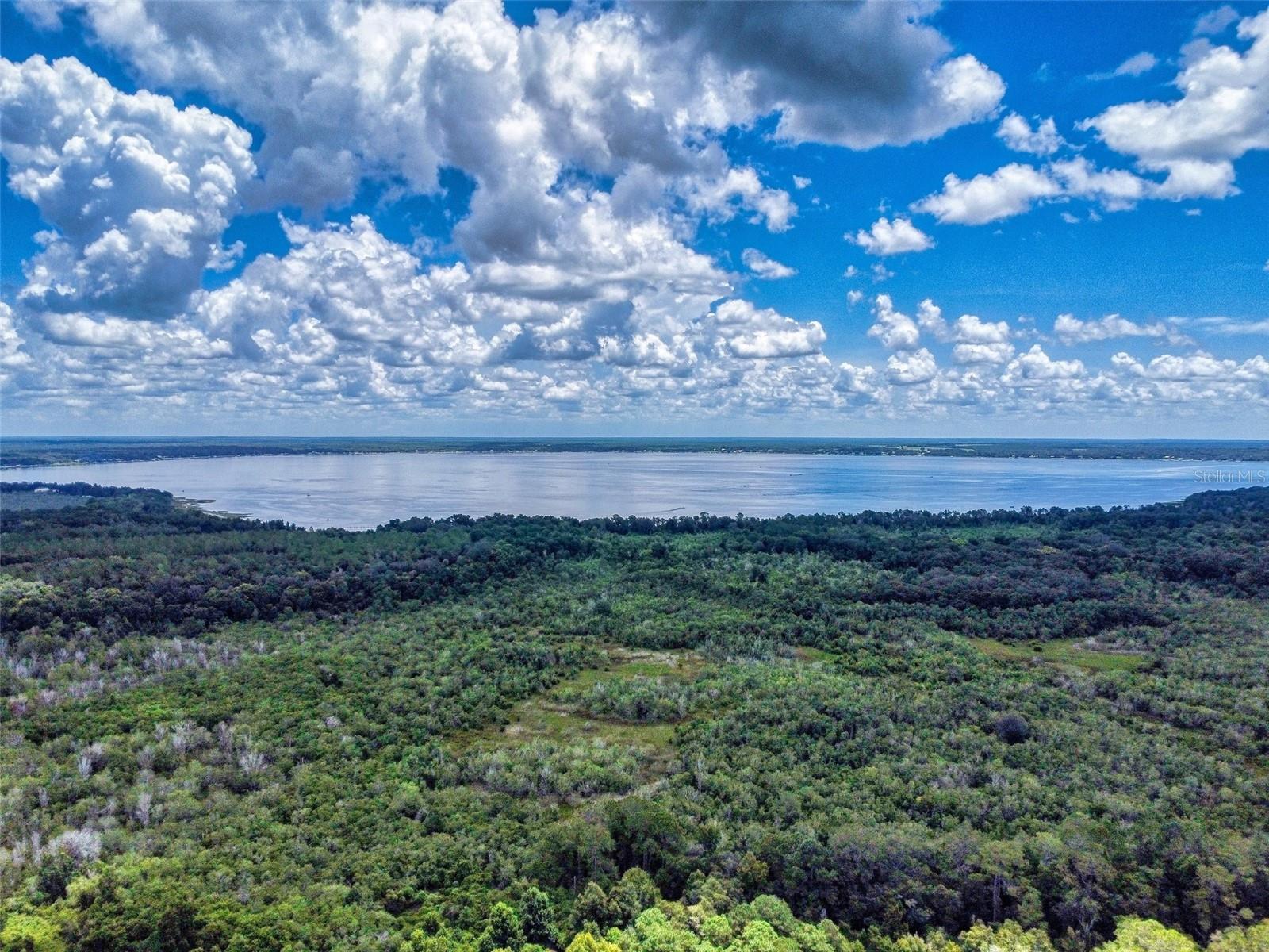 10645 SE 145TH ST, SUMMERFIELD, FL, 34491