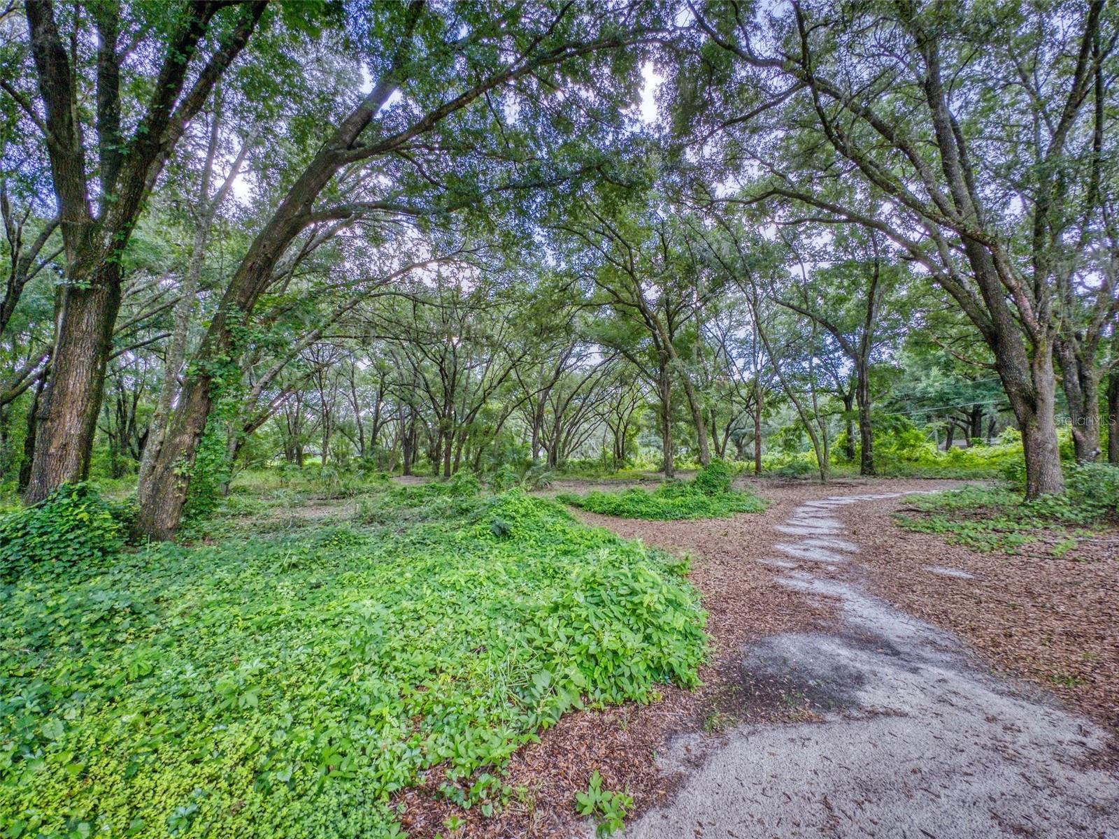10645 SE 145TH ST, SUMMERFIELD, FL, 34491