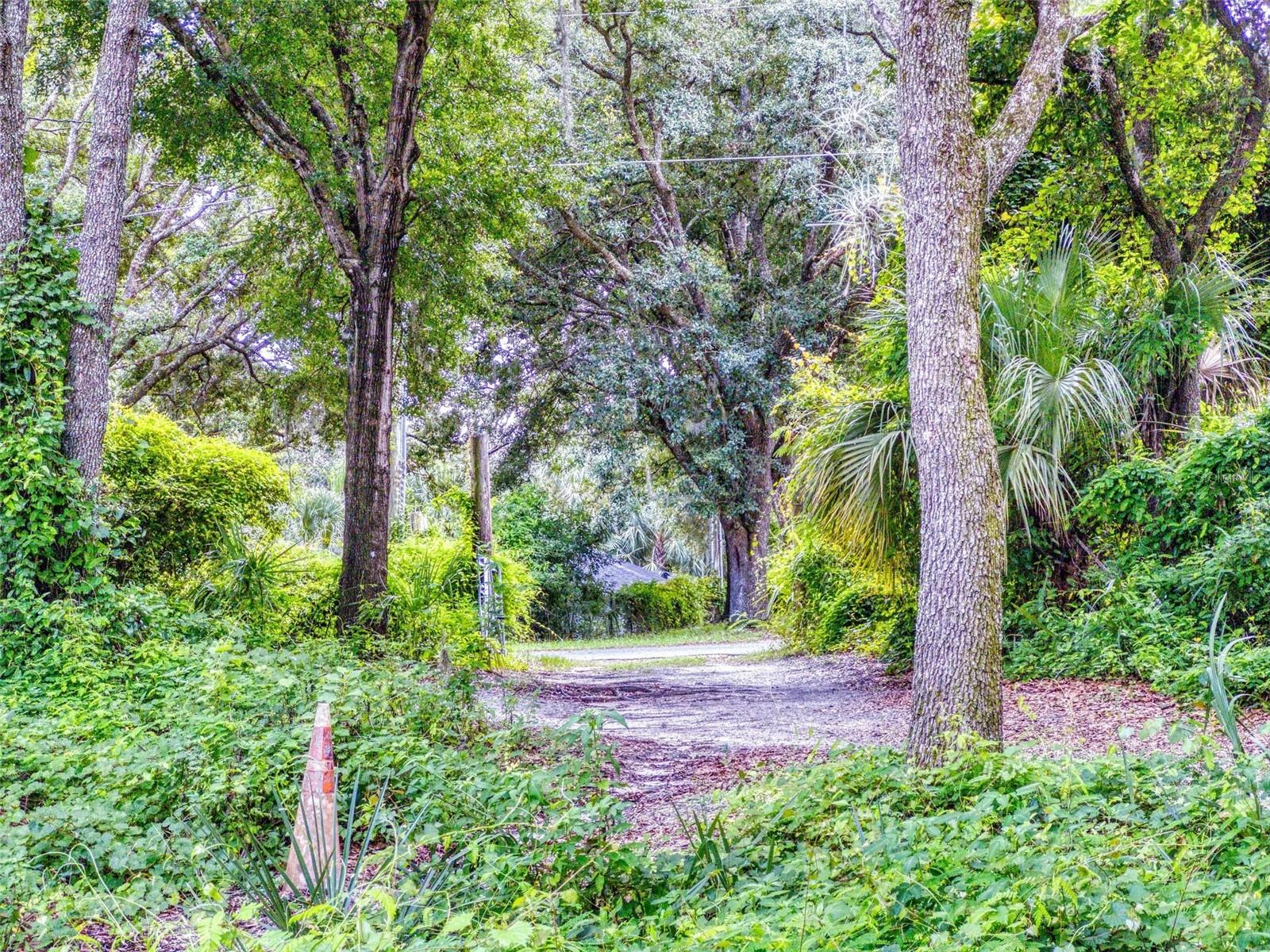 10645 SE 145TH ST, SUMMERFIELD, FL, 34491